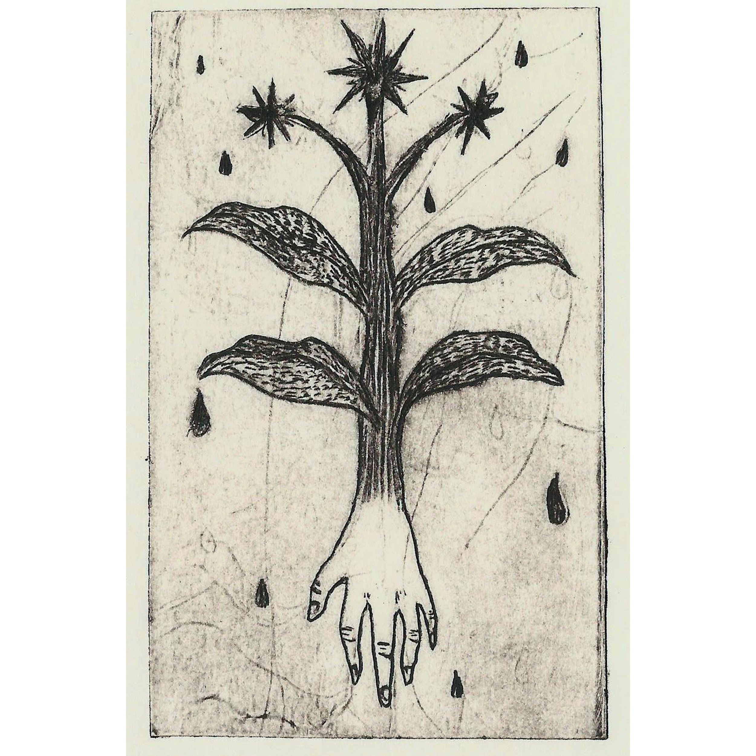 Manna (Black) square.jpg