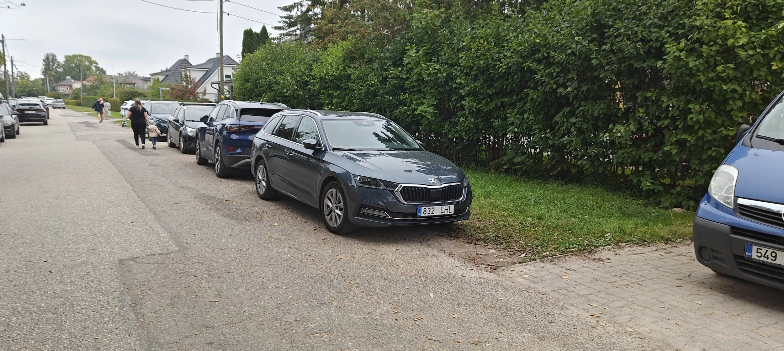 IMG20240919095256.jpg