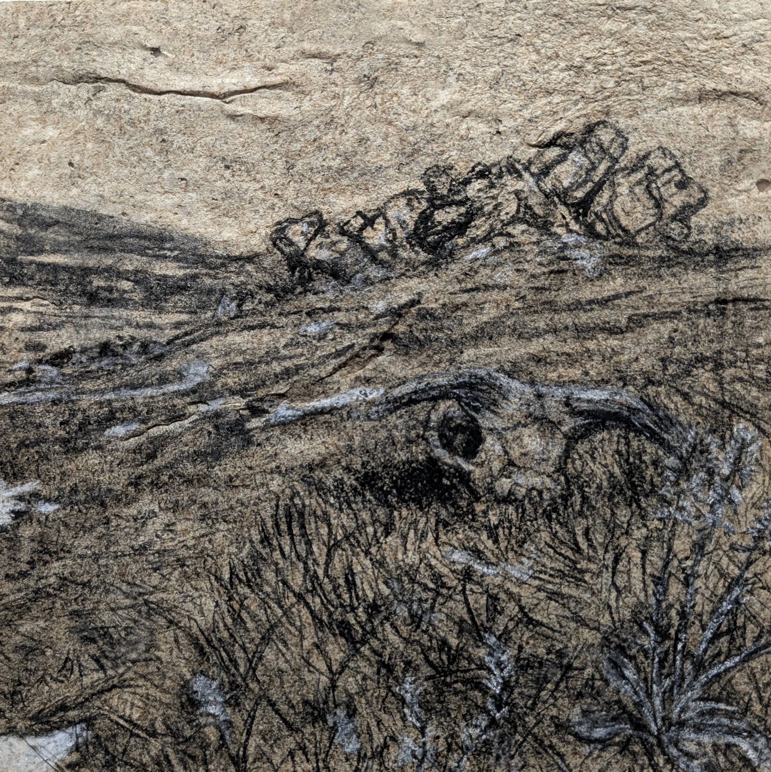 Synergy, charcoal on paperboard, 7'' x 7''