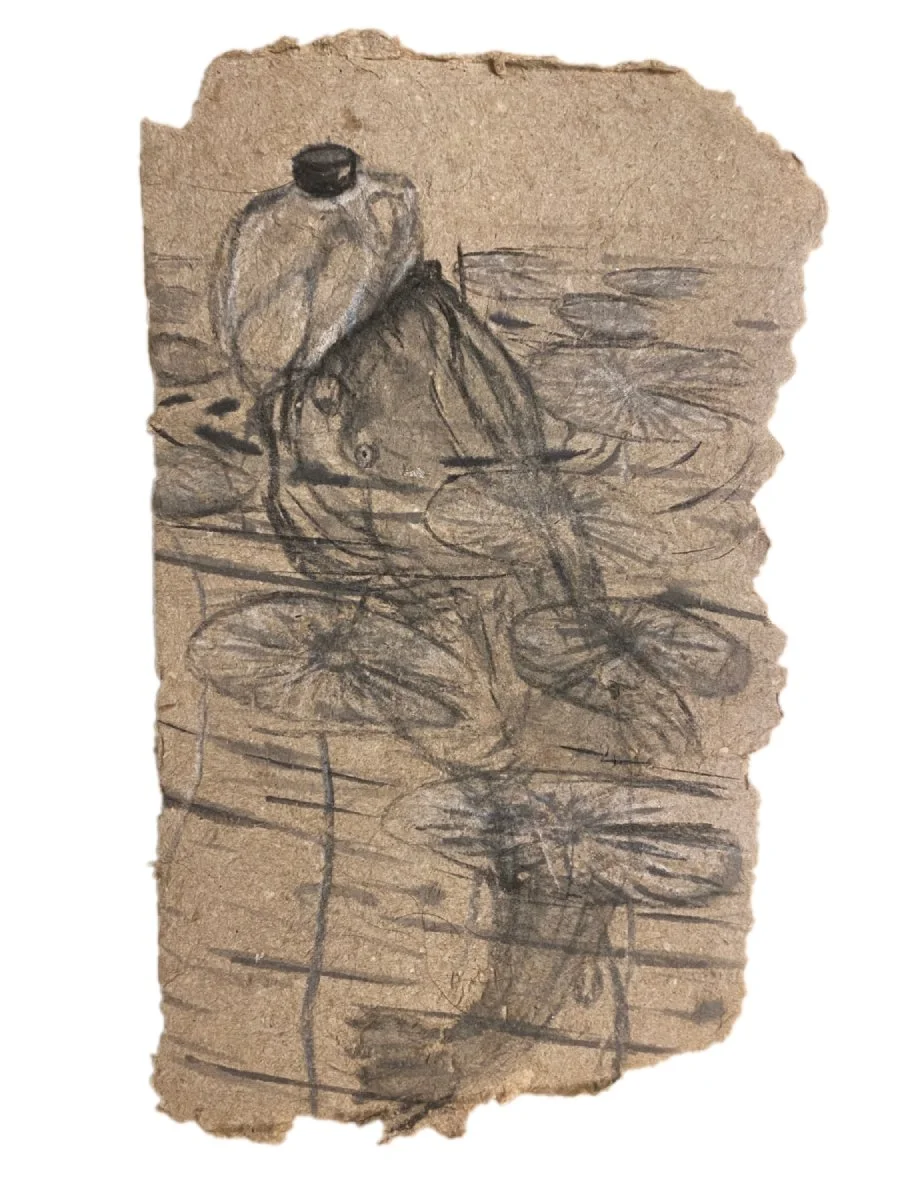 Catfish Study. charcoal on recycled paper