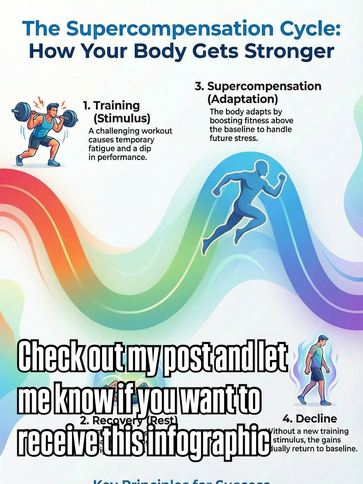 You don&rsquo;t get stronger IN the gym. You get stronger recovering FROM it. 📉📈
Most people think progress is just about how hard you grind. But physiological science proves that the magic actually happens between sessions. It&rsquo;s called The S