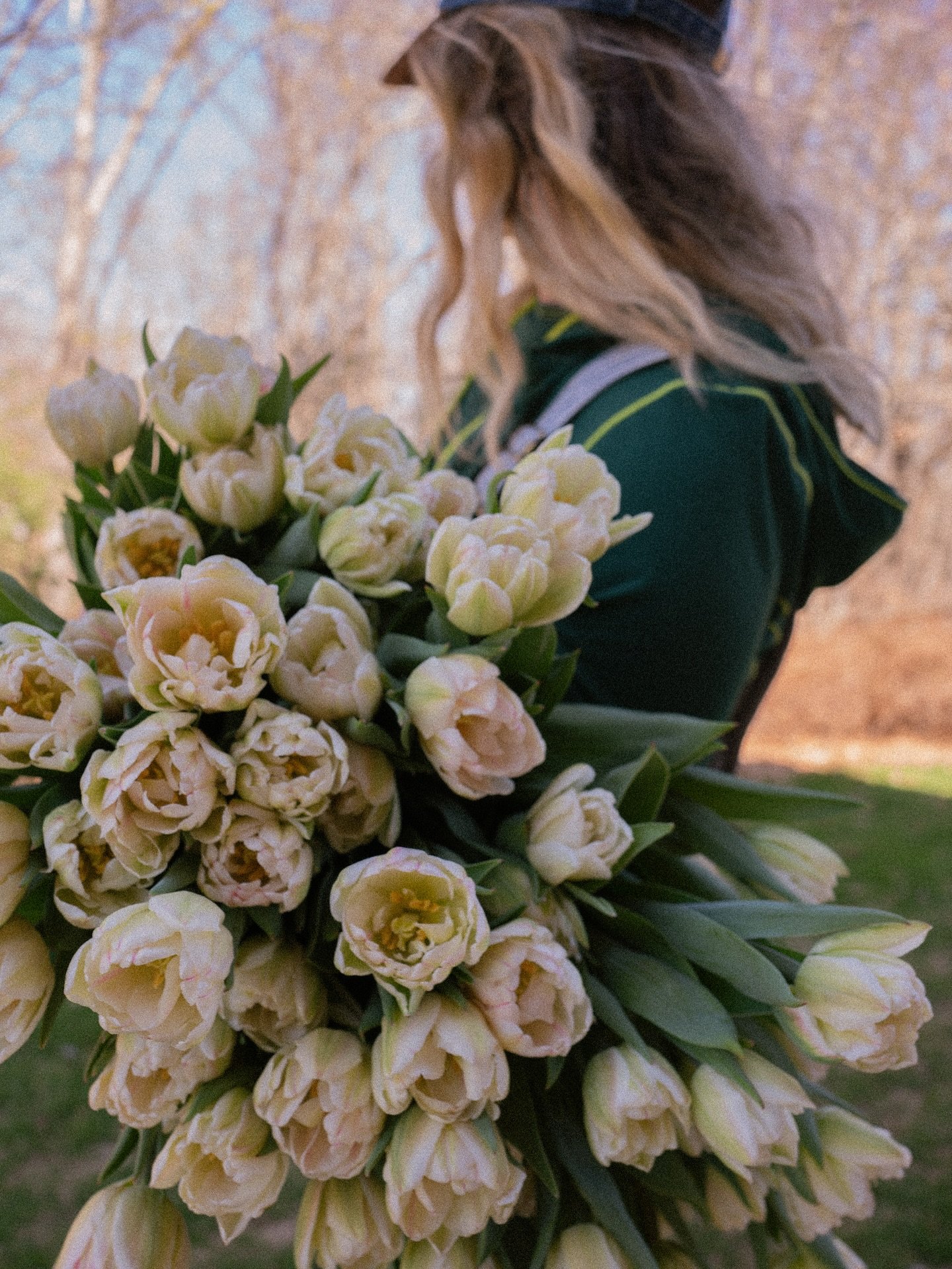 Happy Easter from @denimbloomflowers ๐ซถ๐ผโจ๐๐ฃ๐ฑ Treat yourself and your loved ones to some local tulips. We have Spring bouquets available, while supplies last ๐ซถ๐ผ
