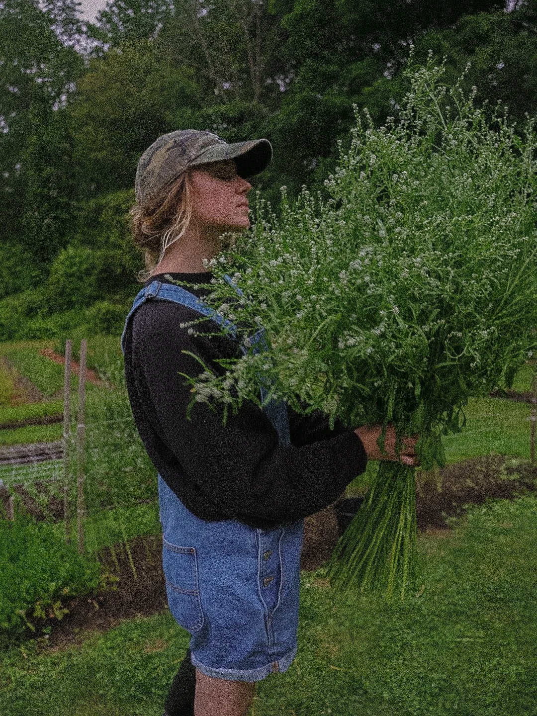 One lesson we learned pretty quickly is how important cutie fillers are! 🌱🌿🌾 Check out one of our faves and one that will continue to be a regular on the flower farm! Persian Cress!