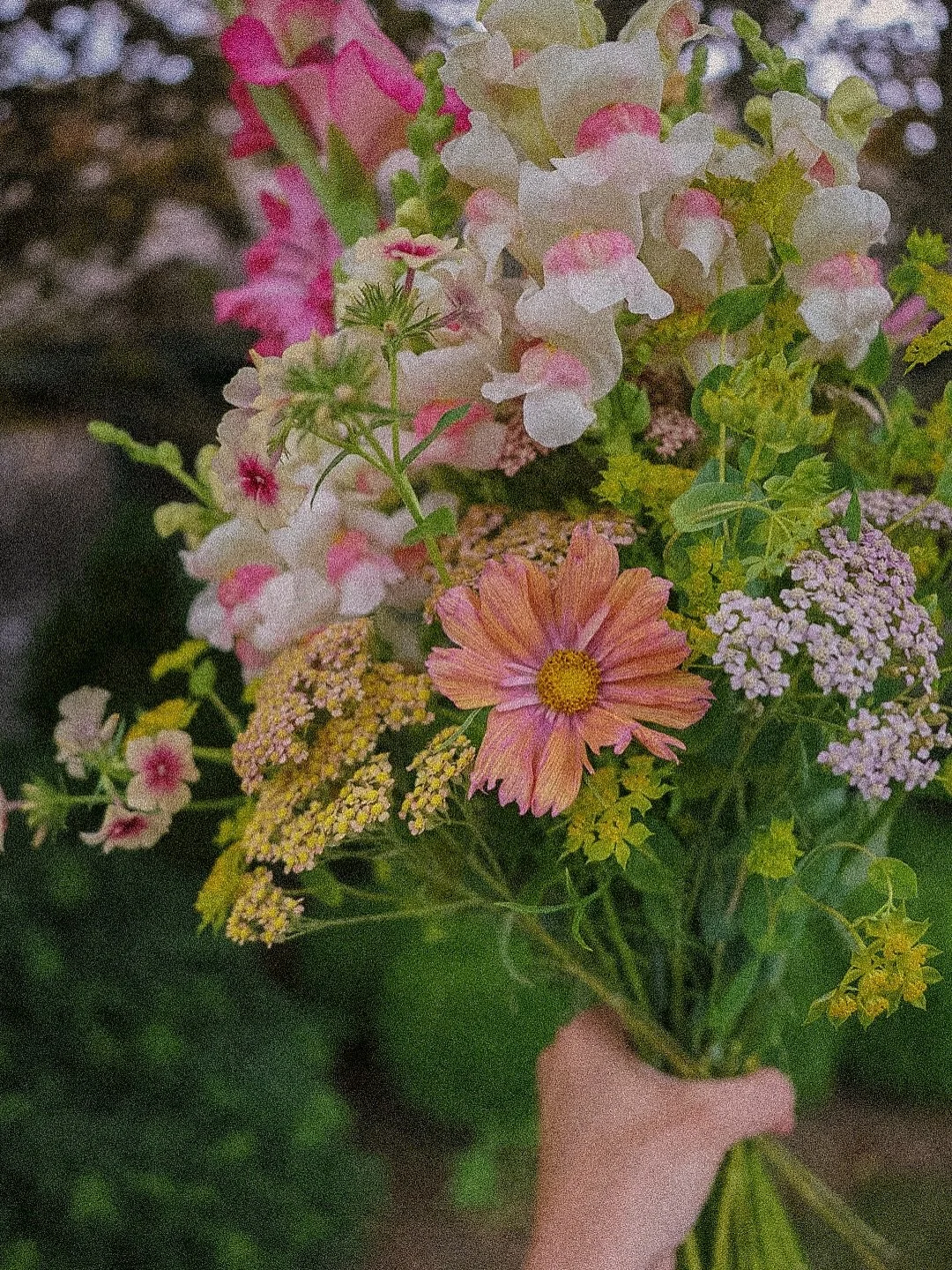 We are taking advantage of this rainy Sunday and getting some inside prep done at the farm. Cleaning the cooler, prepping a new admin space at the studio and potting up lots of late summer and fall seedlings! Happy end of July! 🫣✨💐🌾⚙️