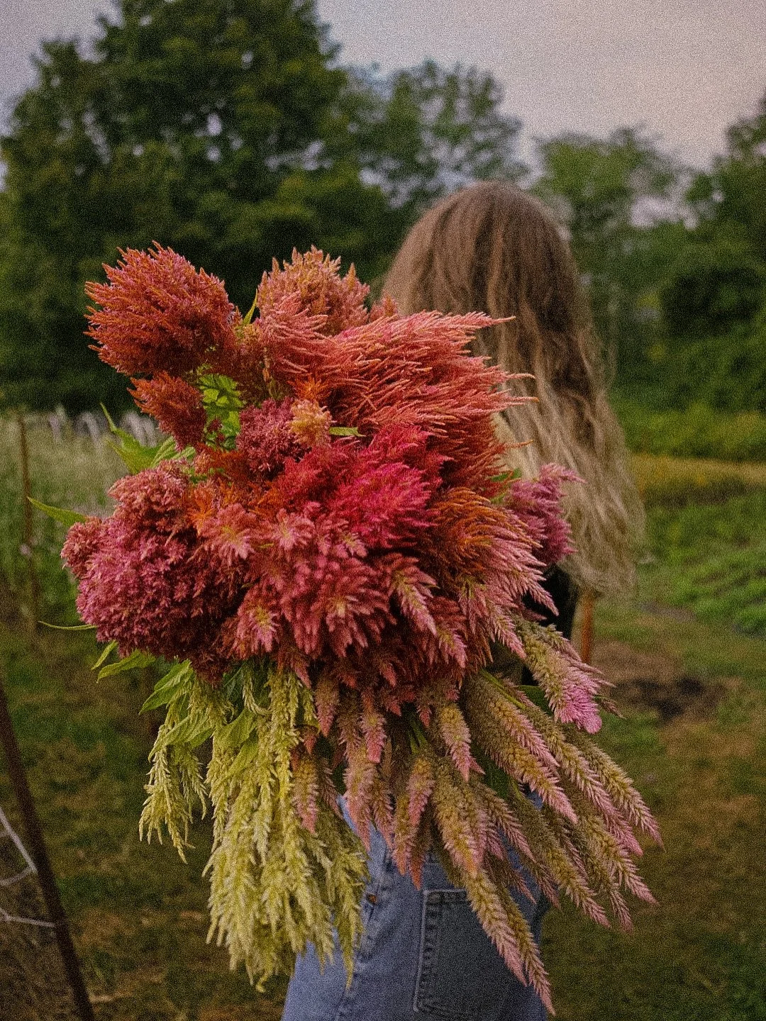 CEPTEMBER CELOSiA looking like cotton candy clouds π¬βοΈπΎβ¨