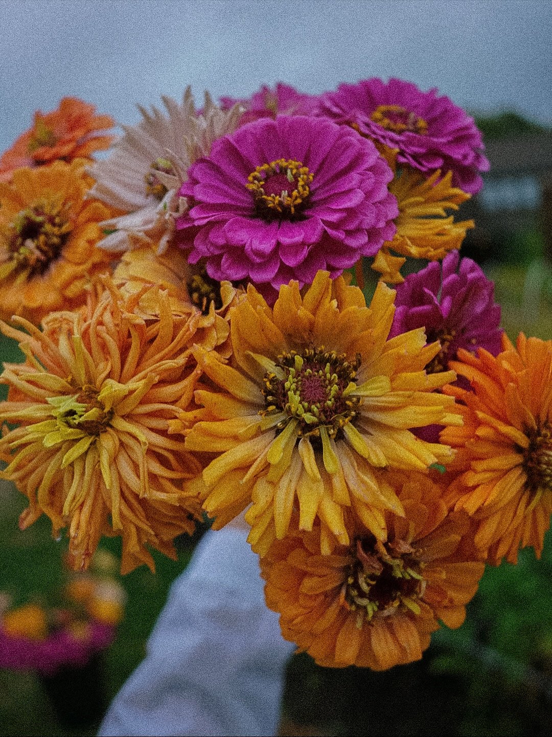 💐$25 POP-UP AT THE FARM TODAY💐 we will be putting up our flower bar that will be filled with $25 grab-n-go bouquets right next to our Denim &amp; Bloom sign today, Saturday! If you will be out and about in the North Attleboro area today, swing by a