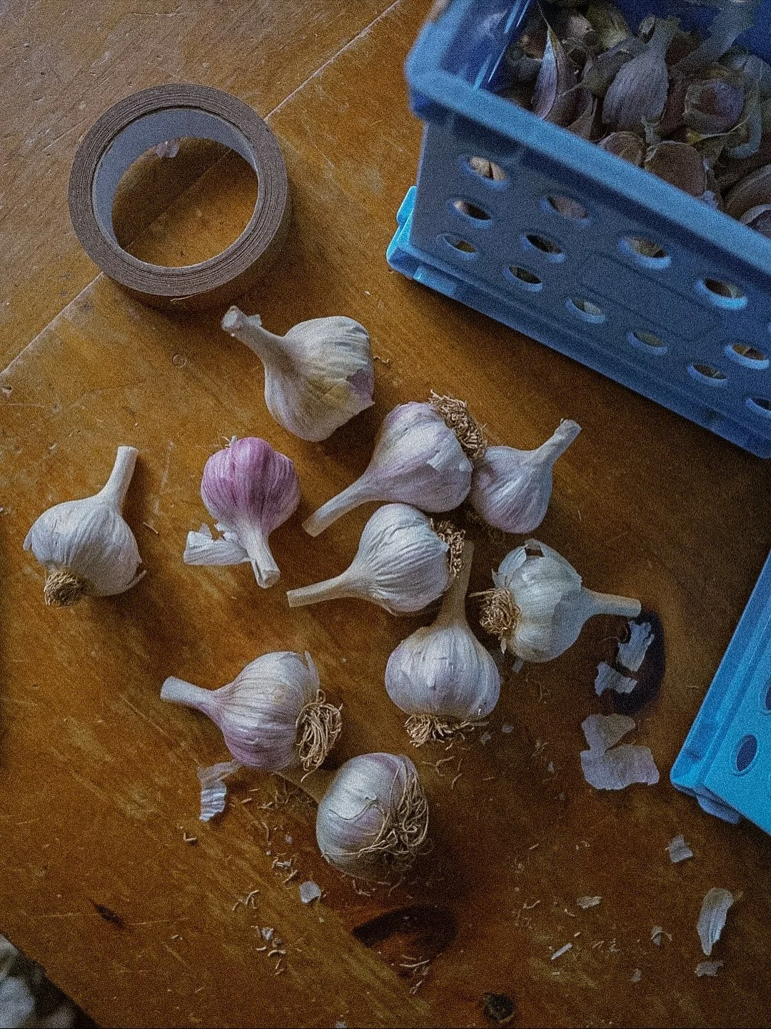 Adding some hardneck Garlic to the flower farm! Scapes to harvest for our floral studio and garlic in the late summertime because, well, we are a big garlic family over here and some of our customers might be too! 🌾🎃🌿🧄 Varieties we are planting t