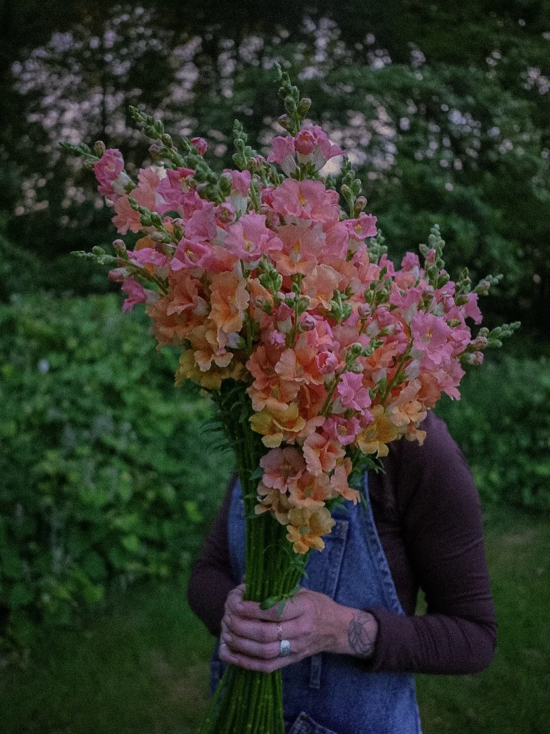 🪩✨💐 BUYiNG LOCAL FLOWERS &amp; SUPPORTiNG LOCAL FARMS iN 2026 >>> 

First week of January on the farm calls for seed planning, farm map drafting, cleaning &amp; sanitizing and everything but rest. LETS GOOOO 2026 &ldquo;growing season&rdqu