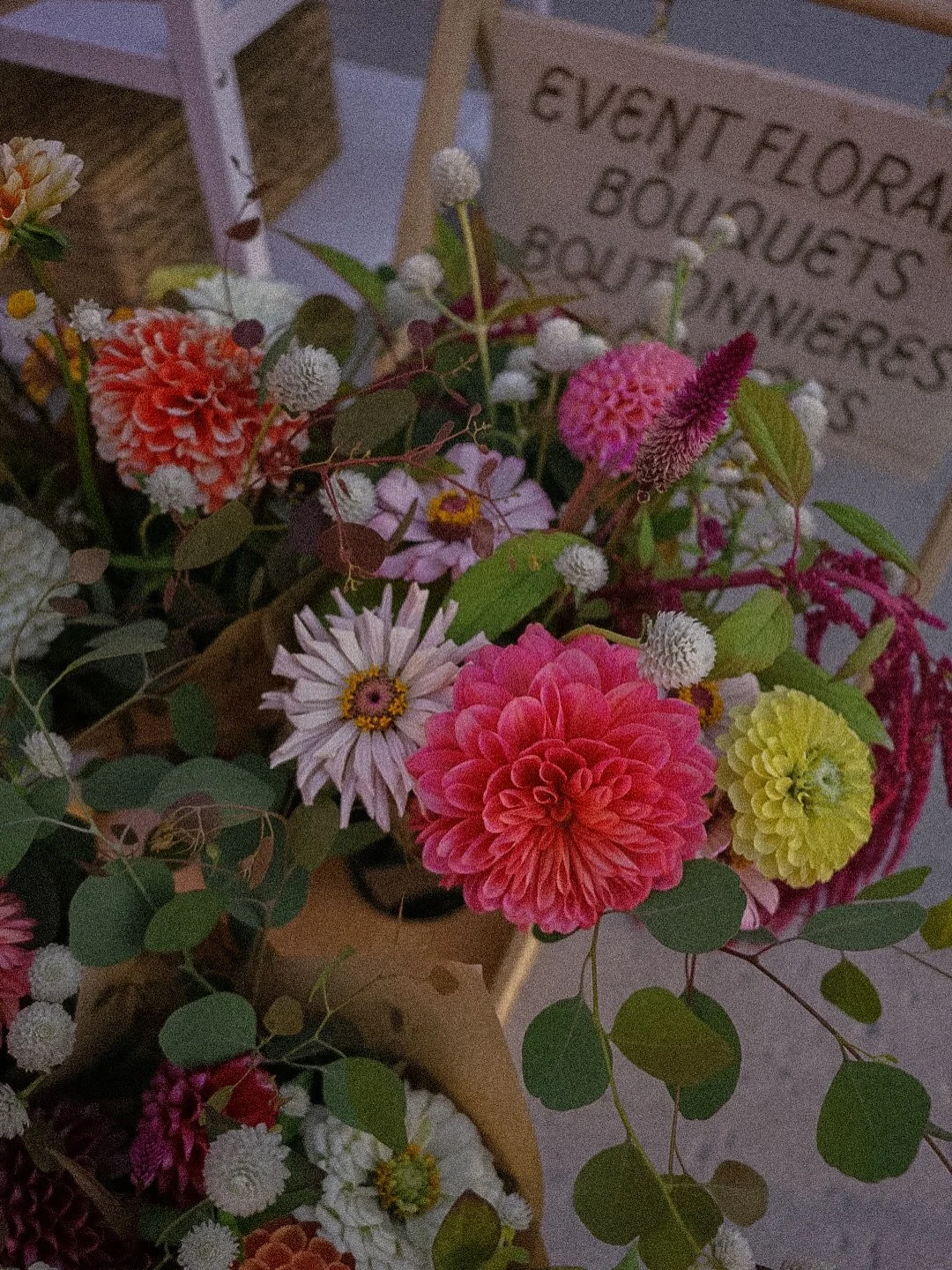 Daydreaming about swimming in Dahlias this summer 💐✨