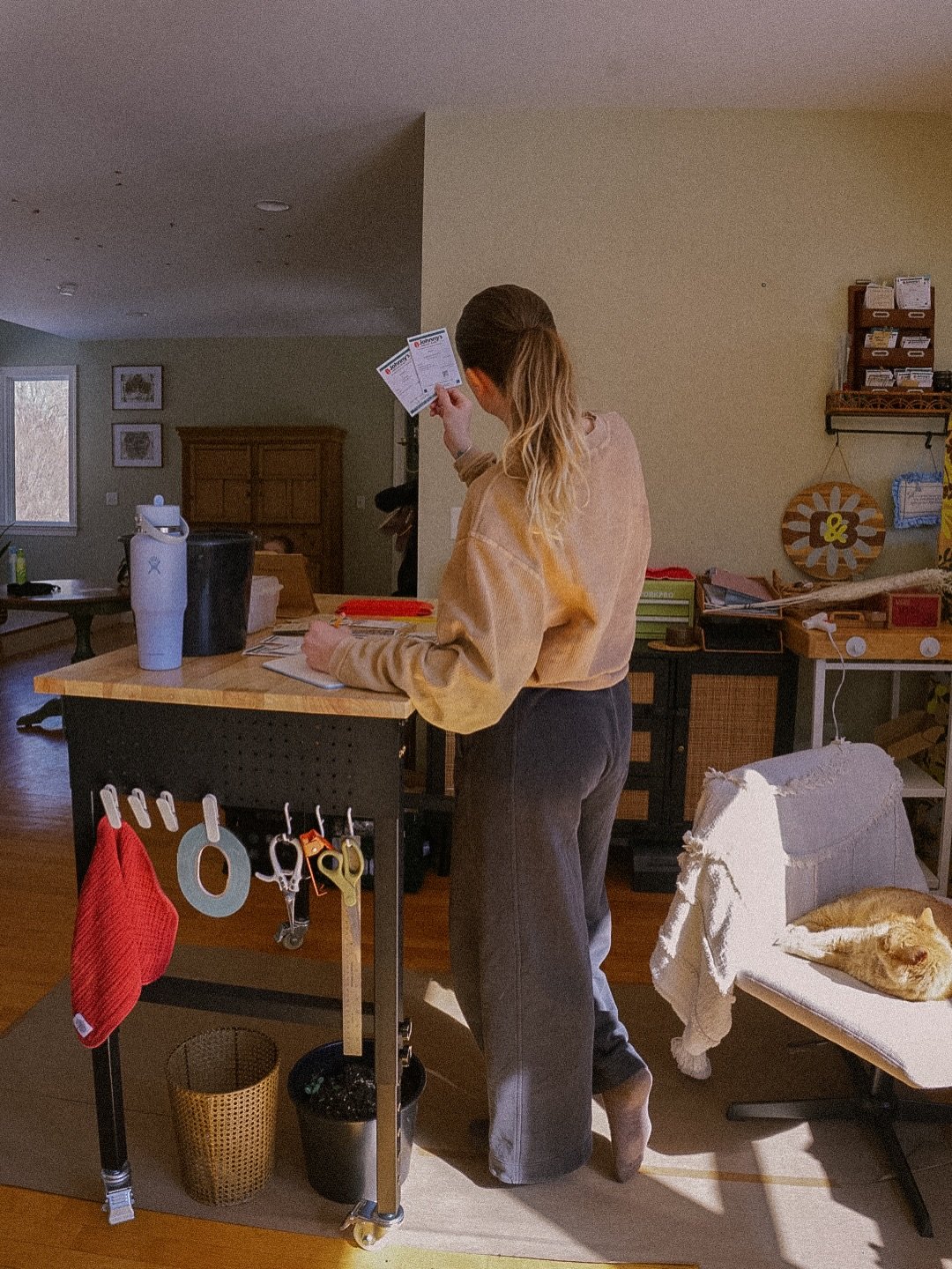 Some of what February looks like on a flower farm in Massachusetts ✨💛🌰 

Organizing &amp; starting seeds but also making sure we know where the good sun spots are ☀️🦁