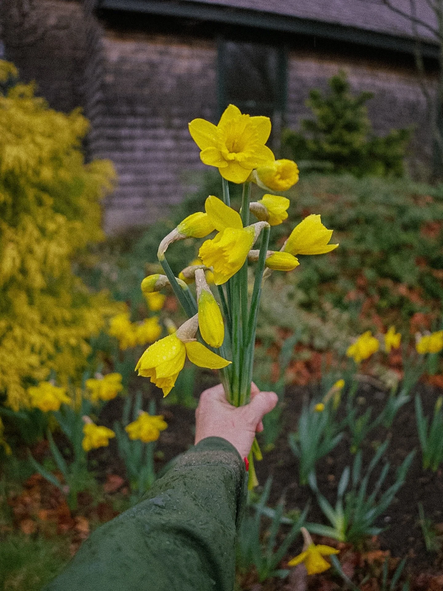 Happy Easter 🐥✨🌿🪻