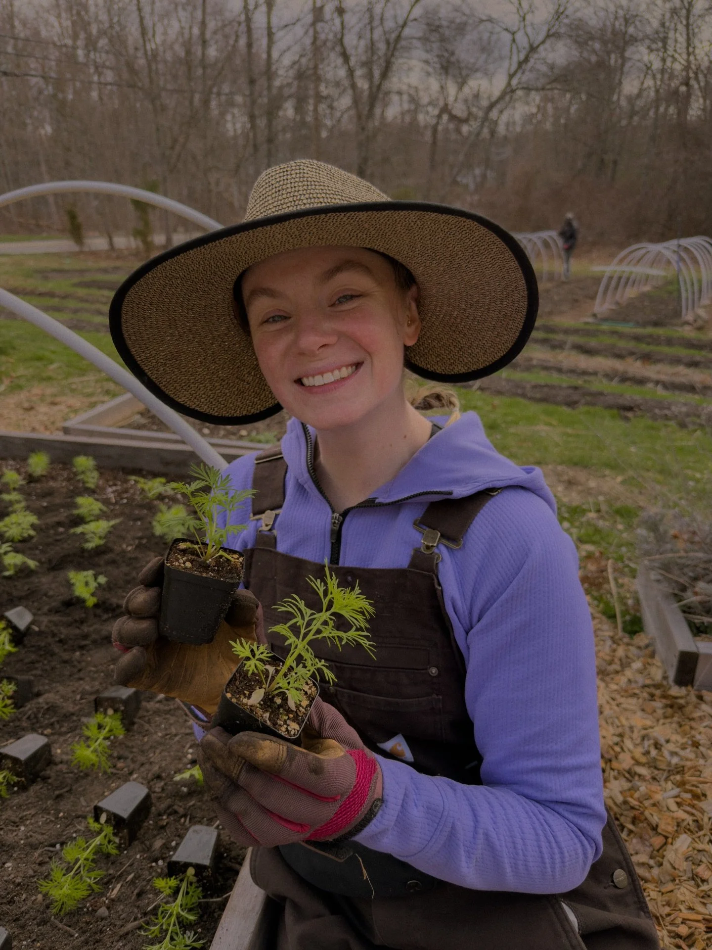 It&rsquo;s officially planting season, if you are wondering what we are doing - 99% chance its this 🪏🌱🌱🌱🌱🌱🌱