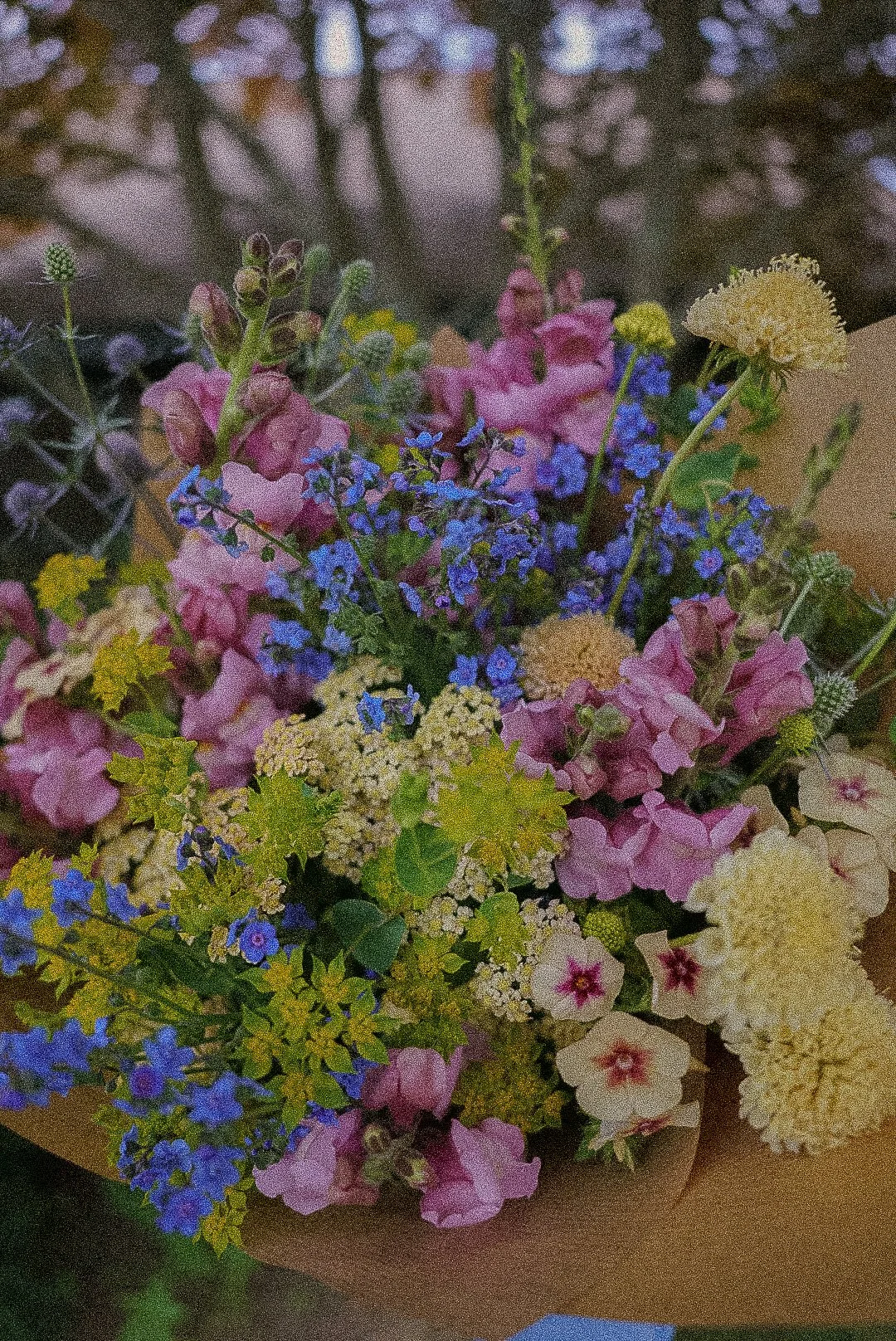 D&B SUMMER BOUQUET-2.jpg
