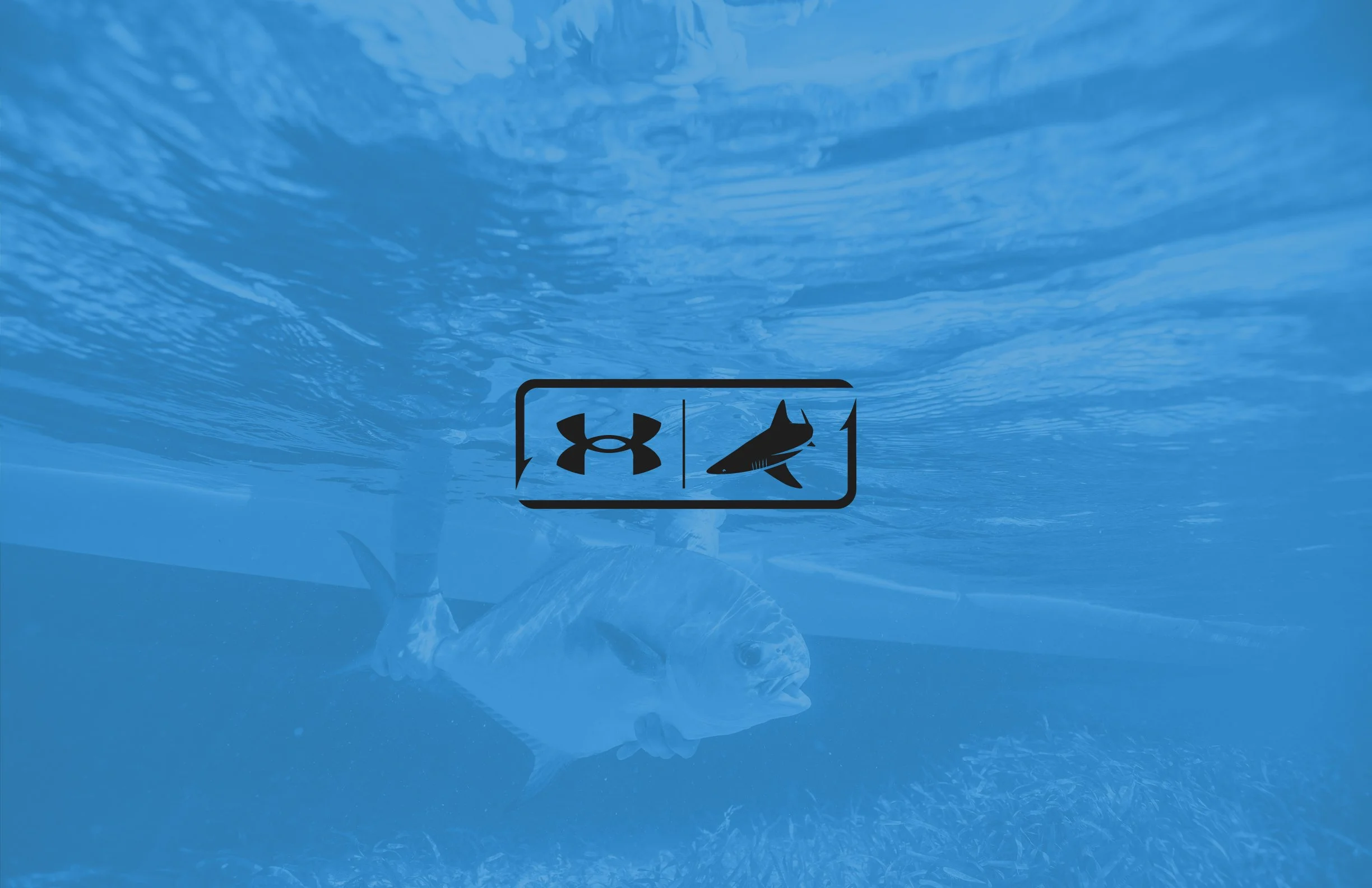 BTHxUA_Artboard 1 copy 9.jpg