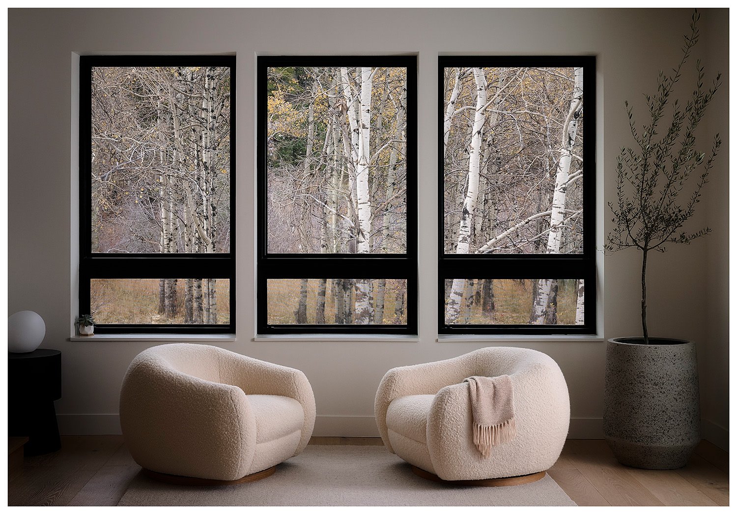 website-Bercu's house9272.jpg