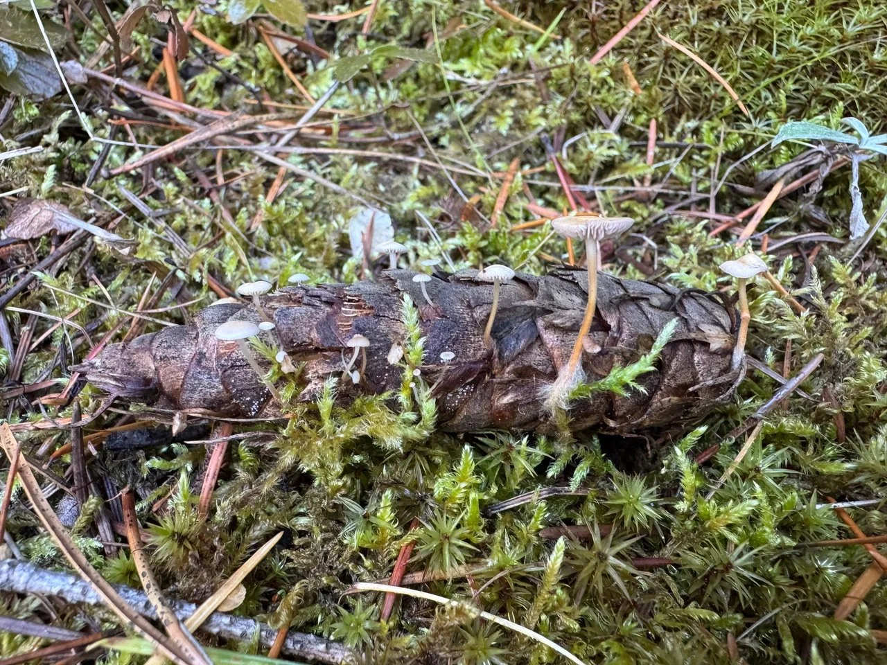 Soil health principles for 2026