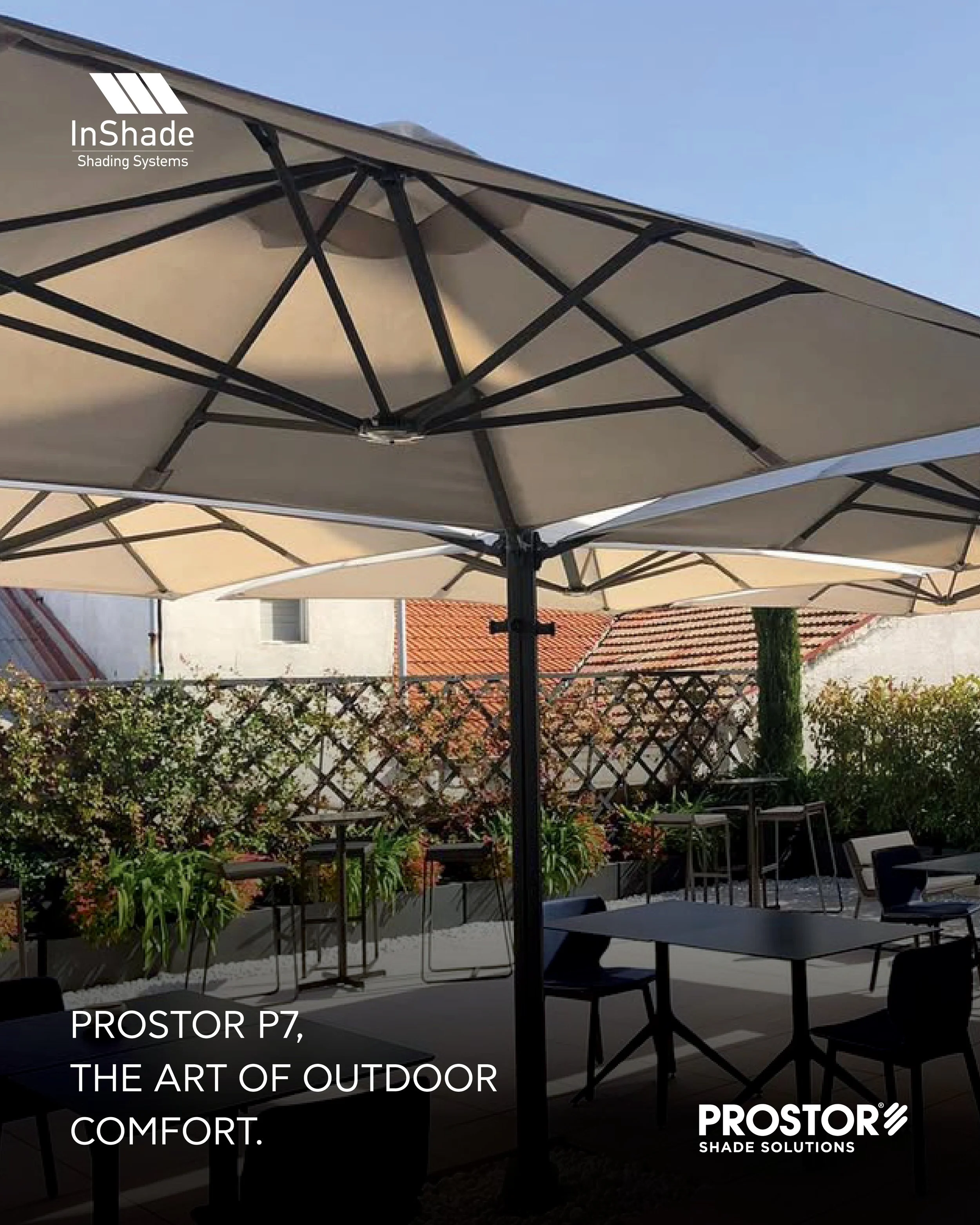 Social Media - November6.jpg