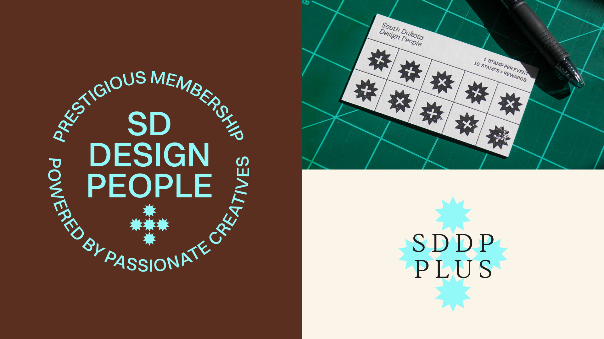 SDDP_plus_logo.png
