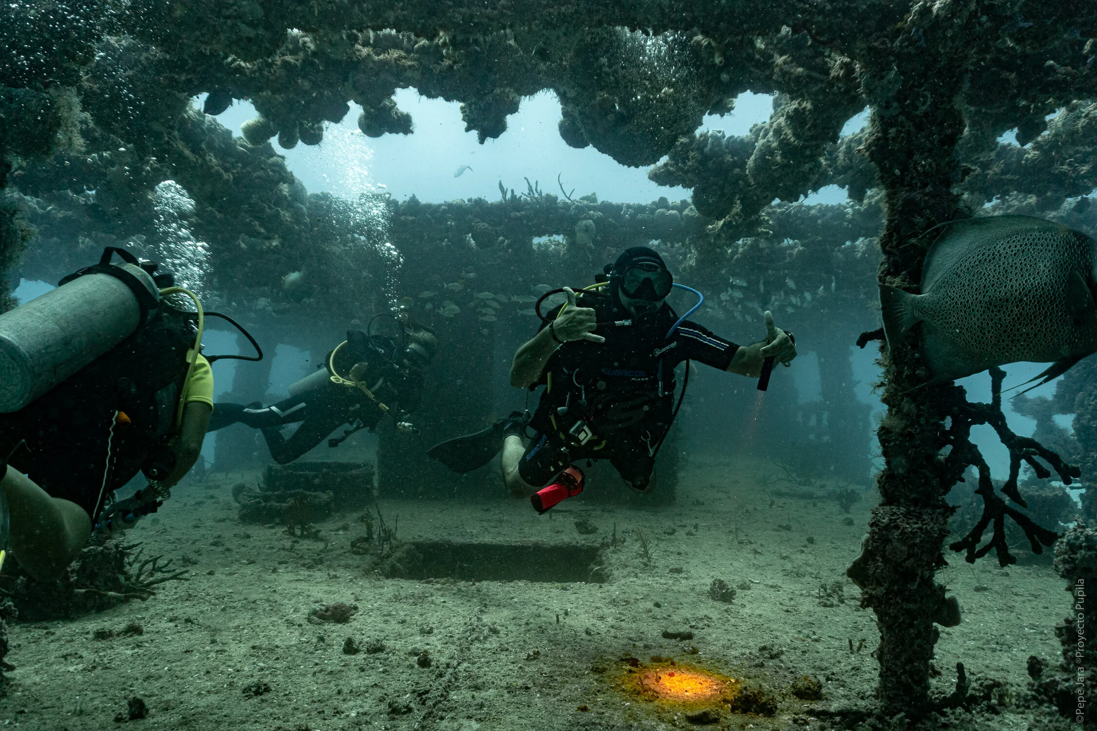 Riviera Maya | Jun 2019