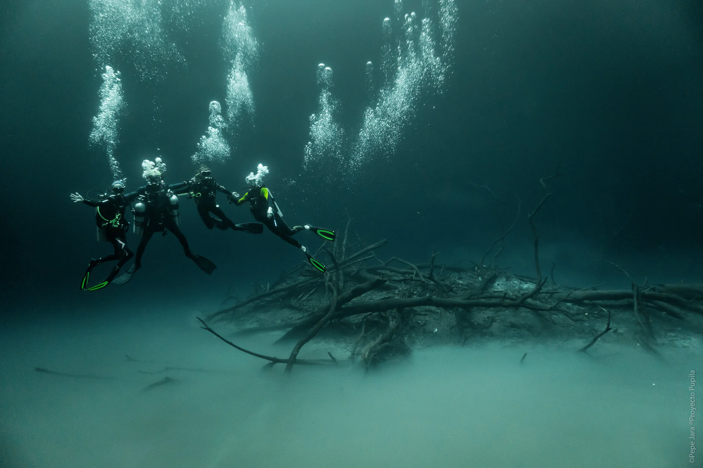 Cenote | Riviera Maya