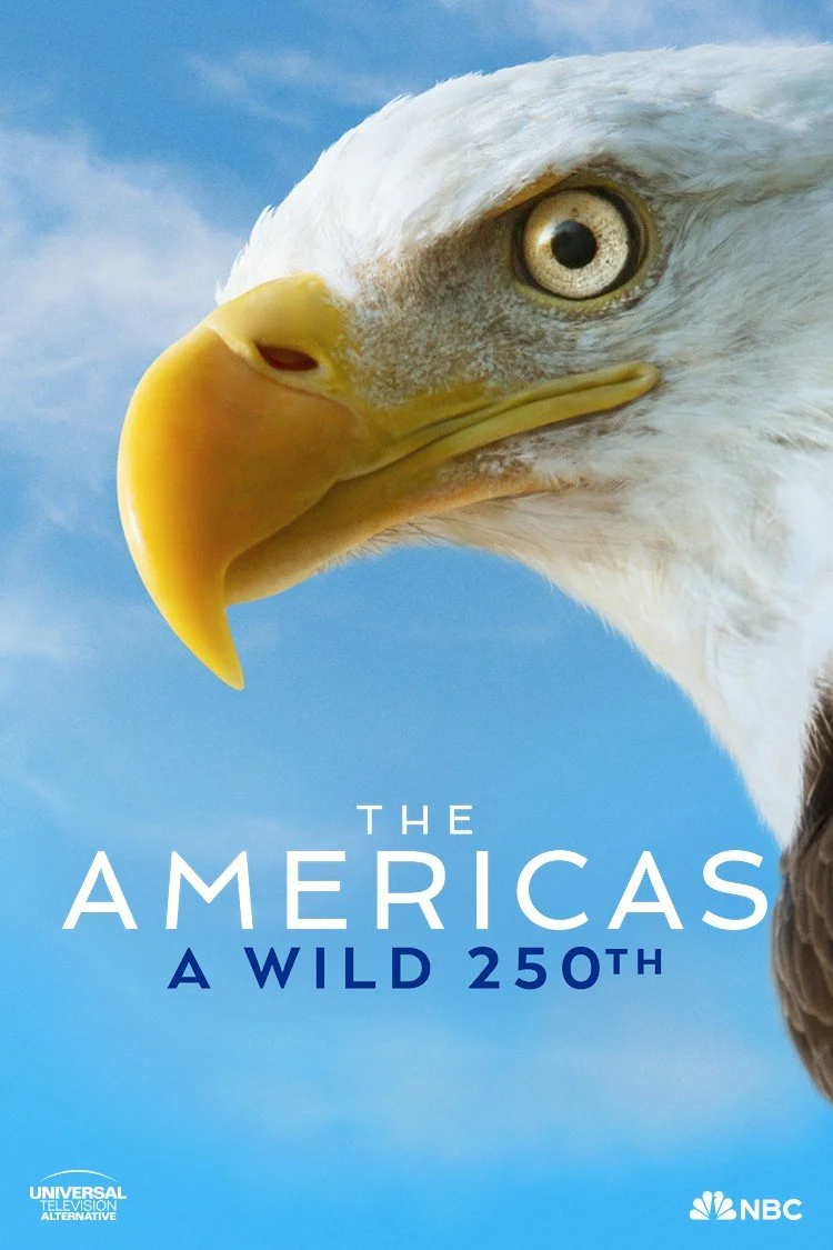 The Americas: A Wild 250th