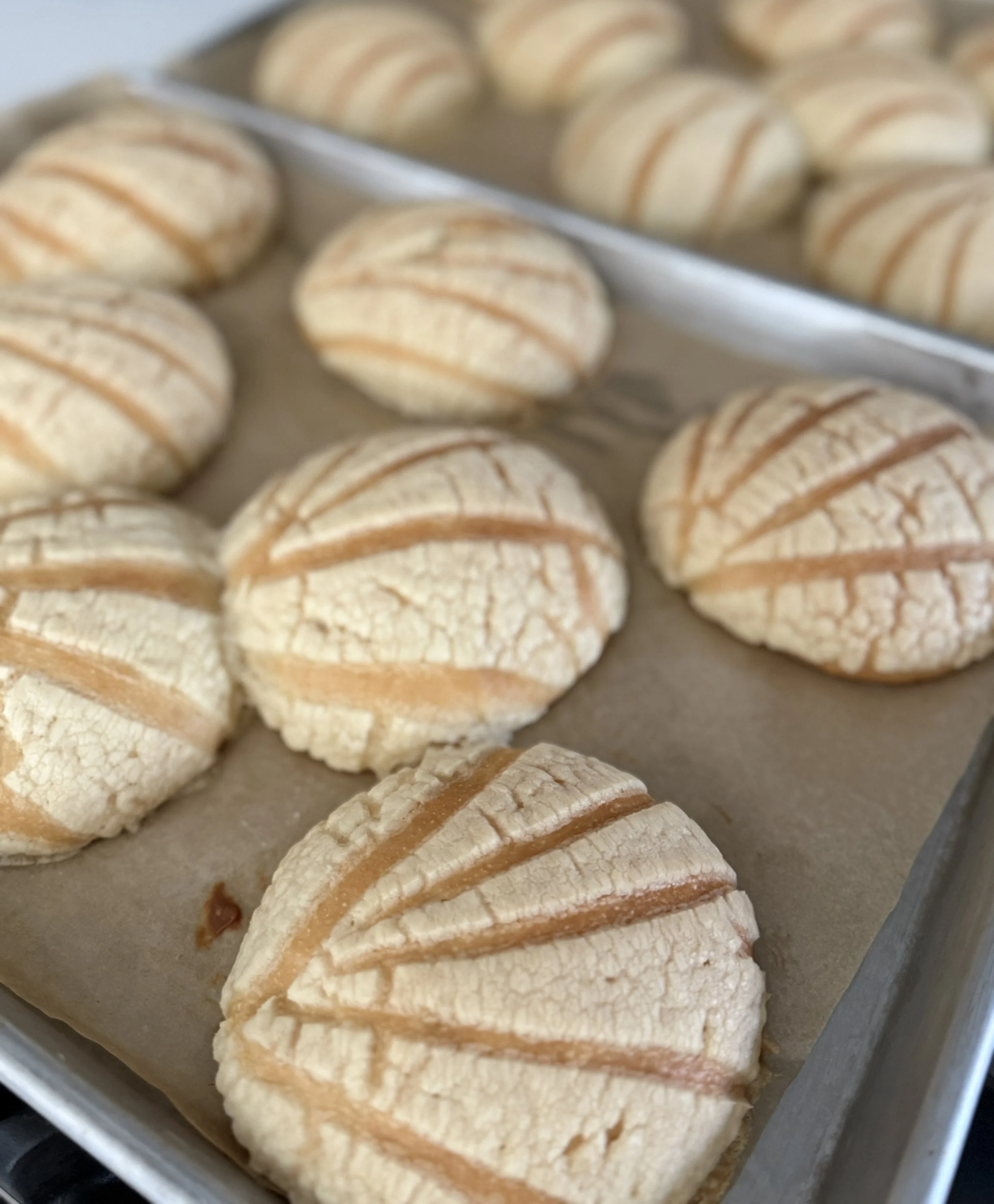 Conchas