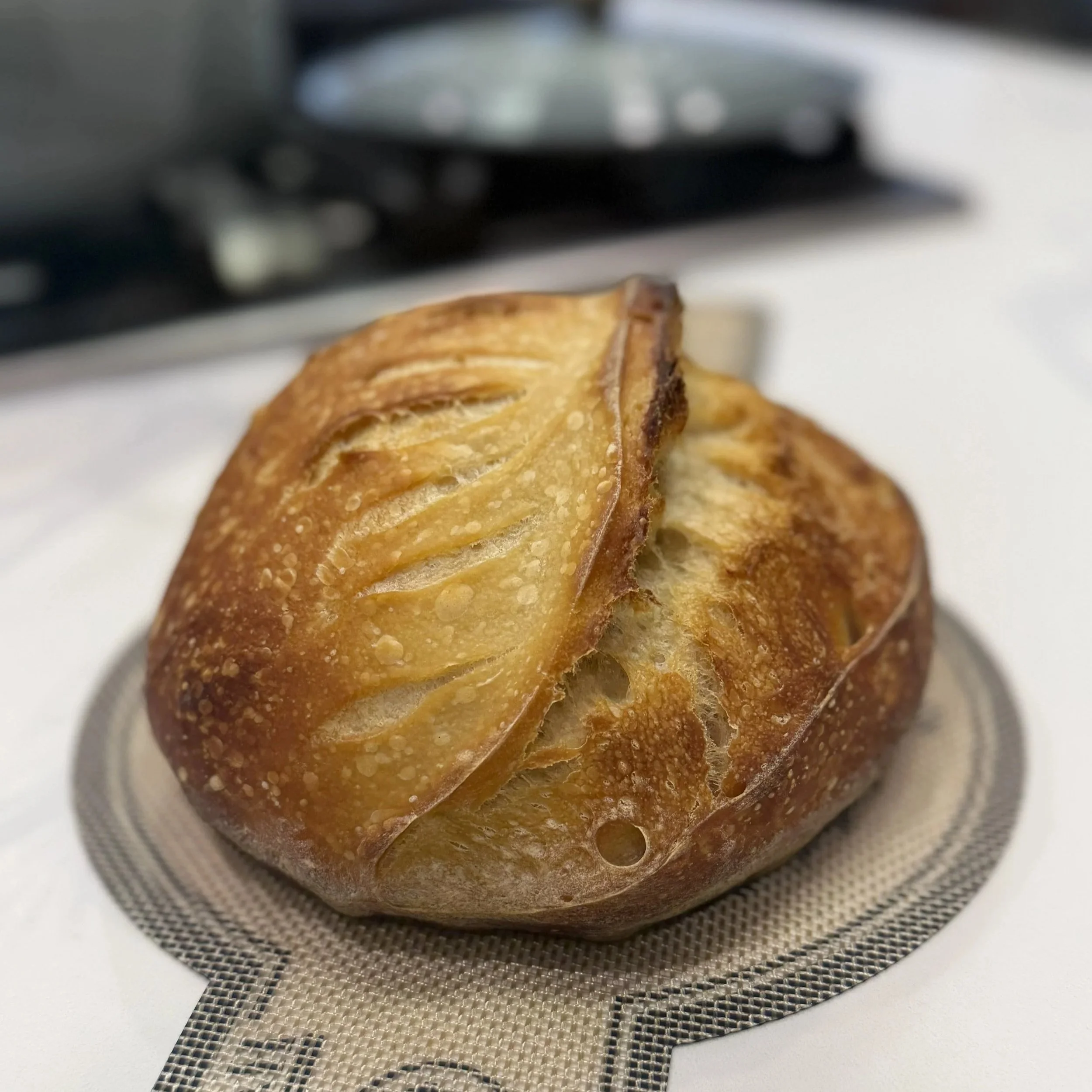 Basic Sourdough