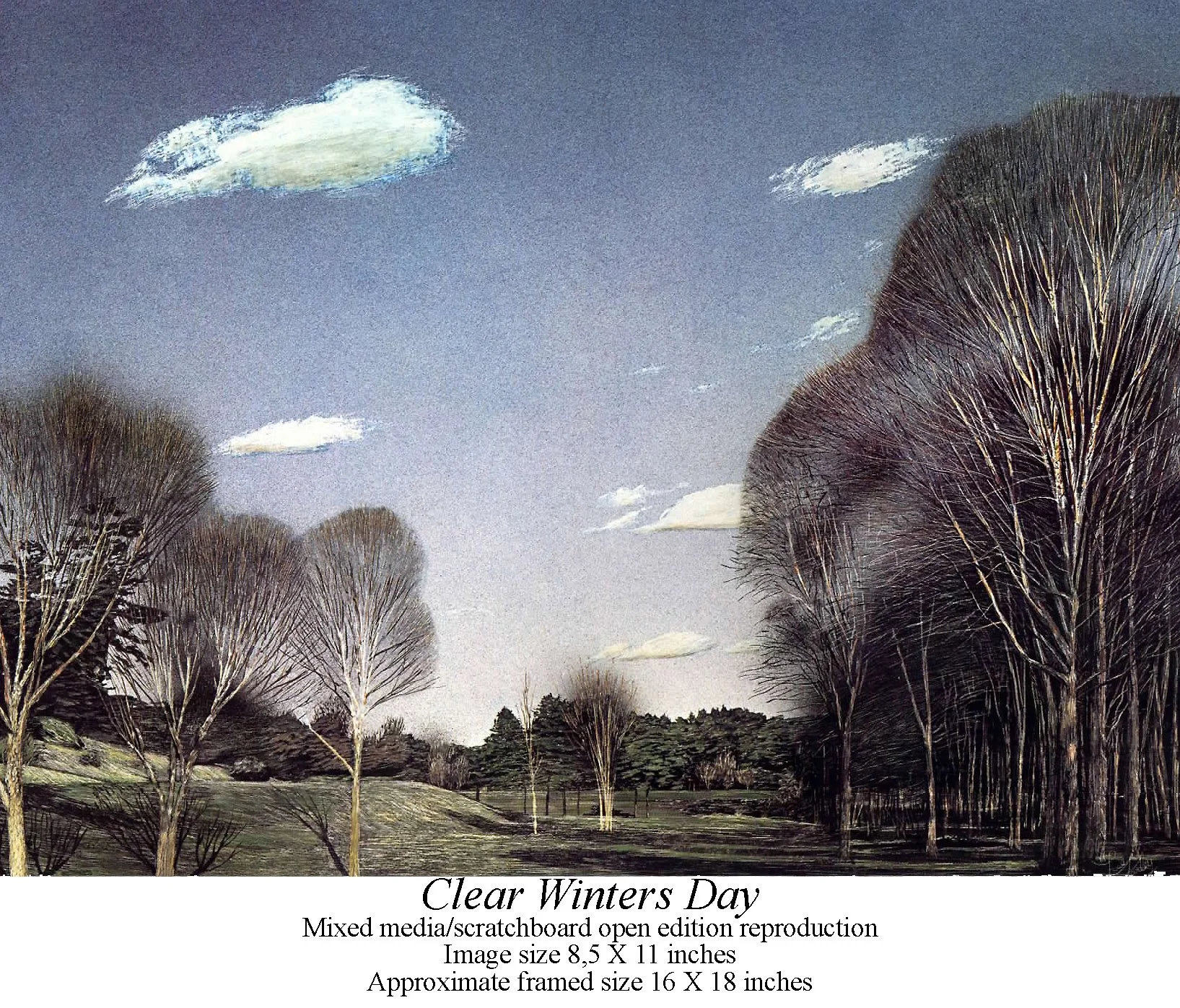 Clear Winters Day.jpg