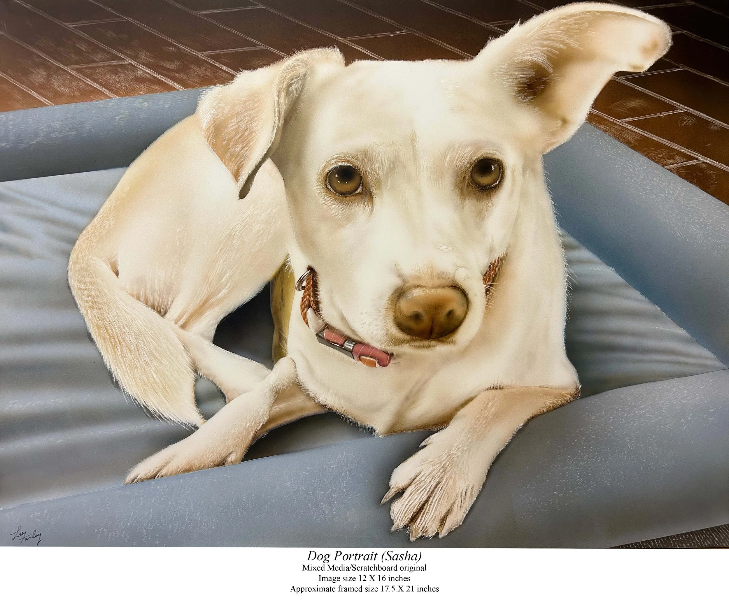 Dog portrait (Sasha).jpg