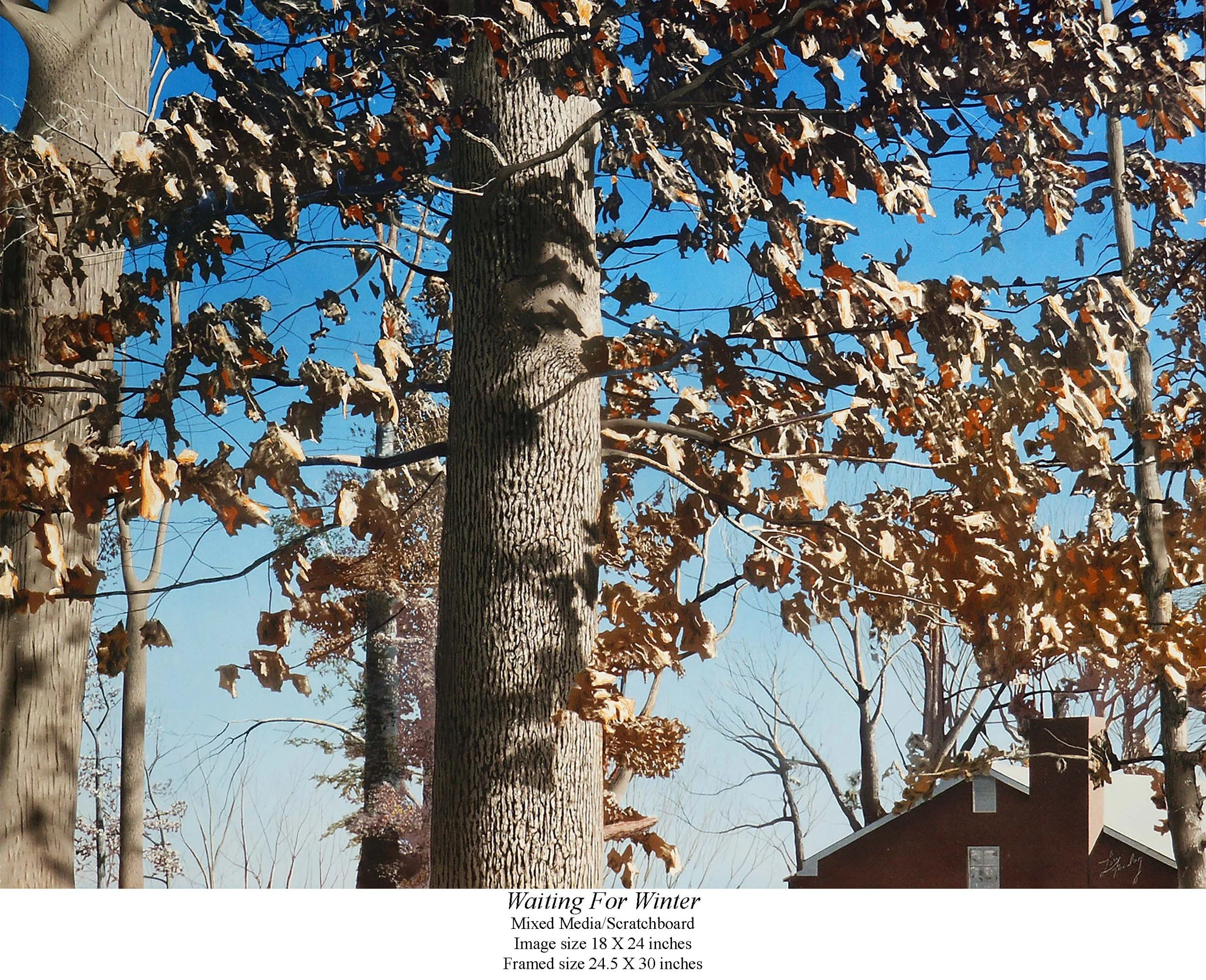 Waiting For Winter1 copy.jpg