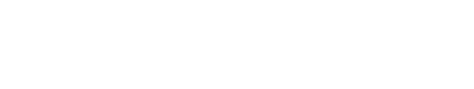 LOTUS HOUSE