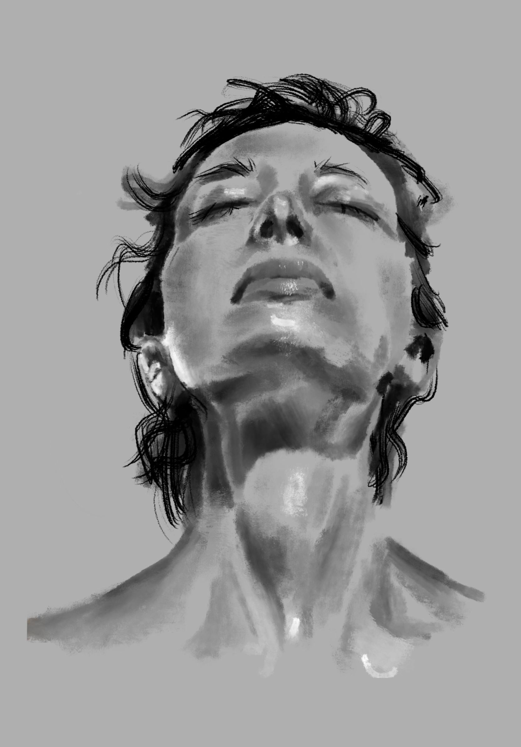 Untitled_Artwork (6).png