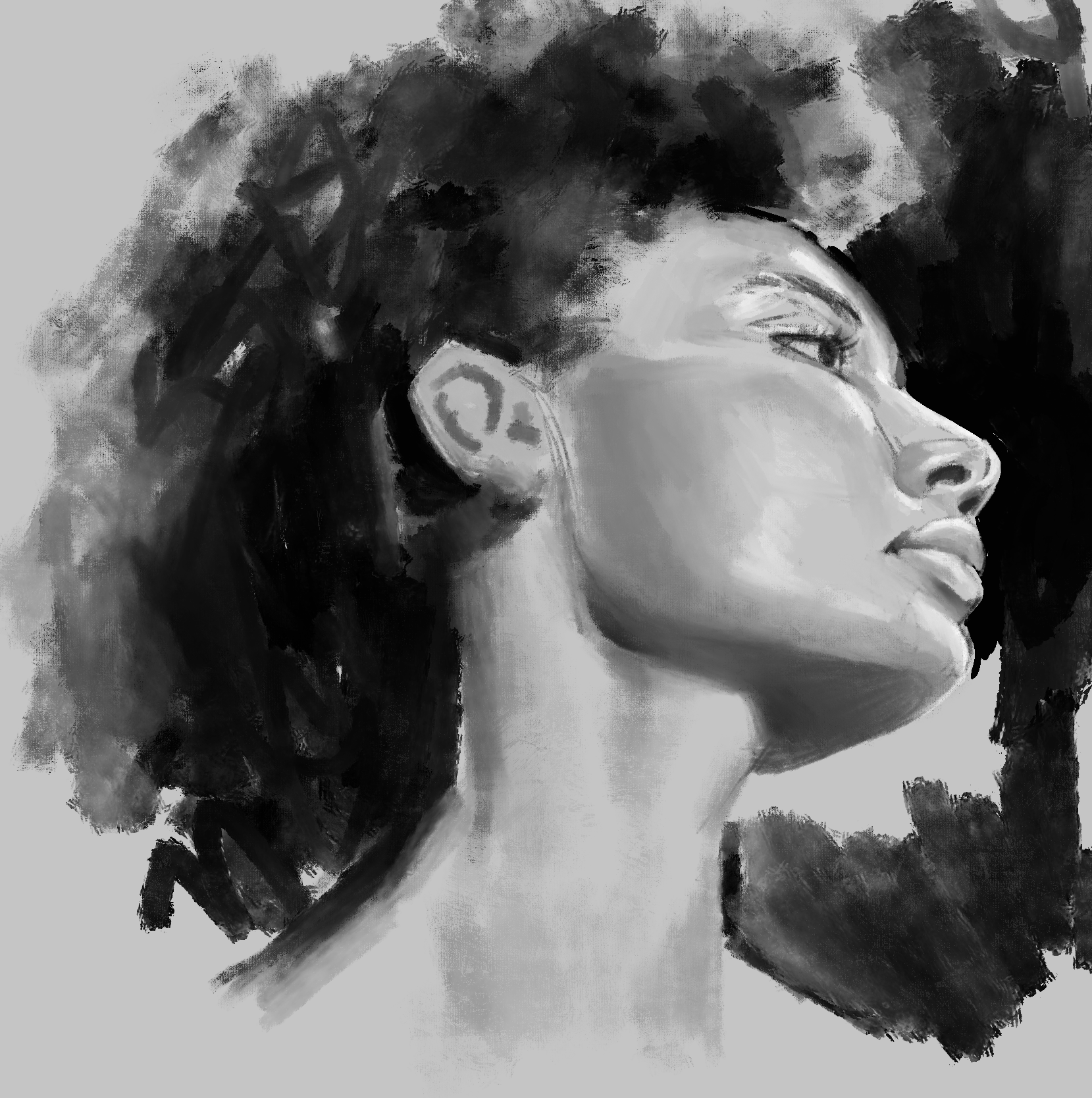 Untitled_Artwork 1.png