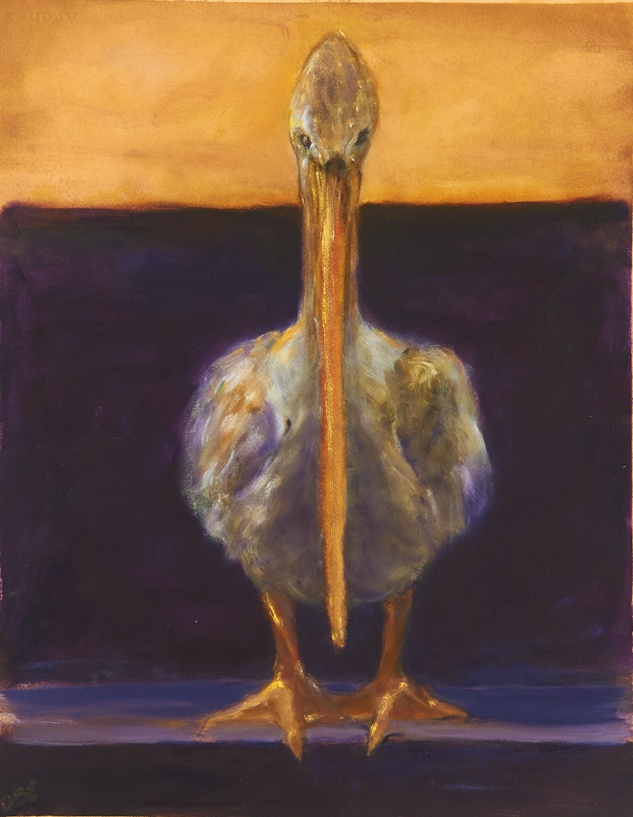 TAC, 26 x 20