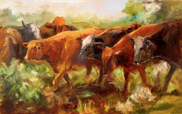 Heifers Walking, 26 x 38