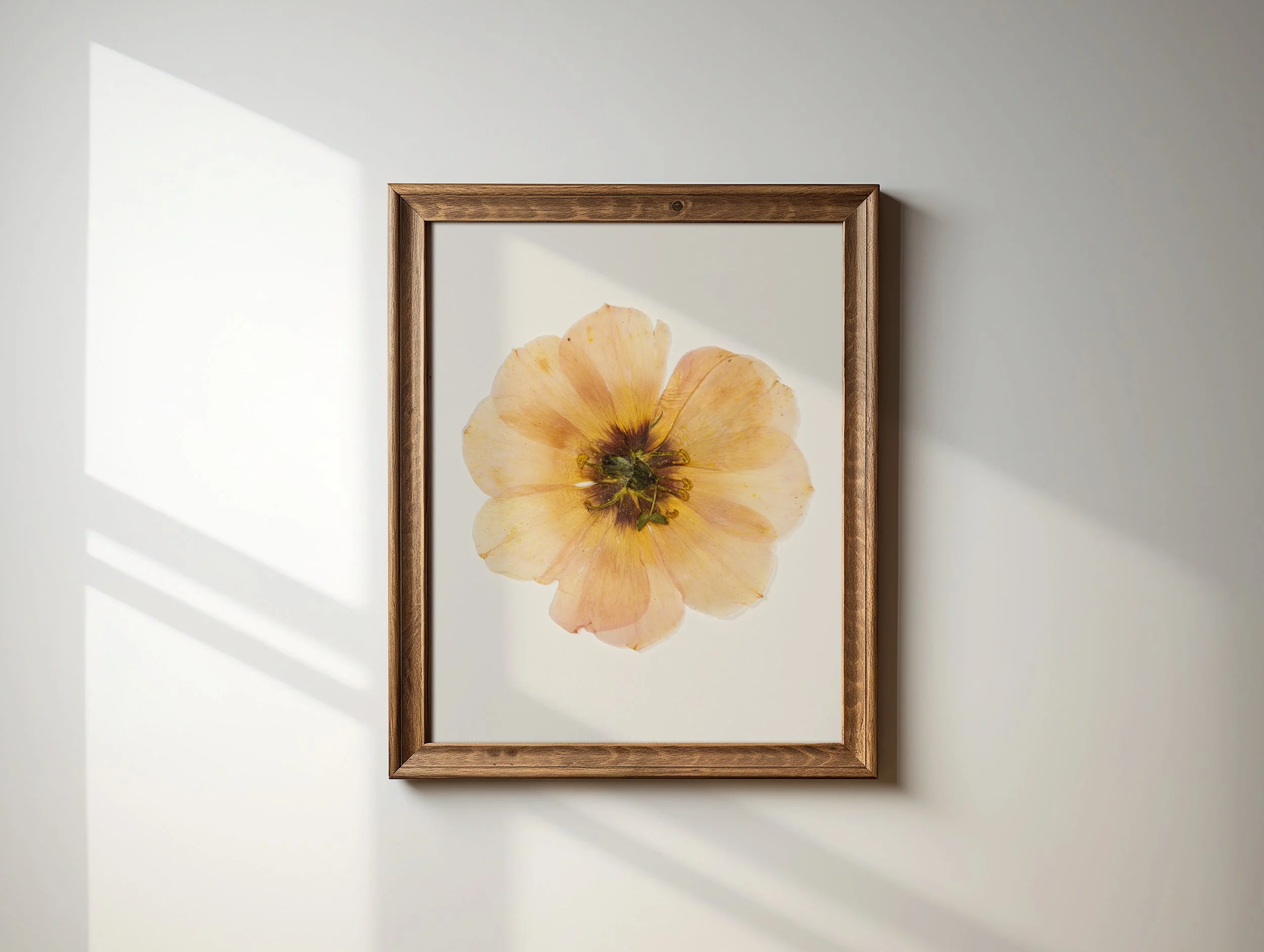 Light Pink Rose Pressed Flower Brown Frame Wall Mockup.jpg