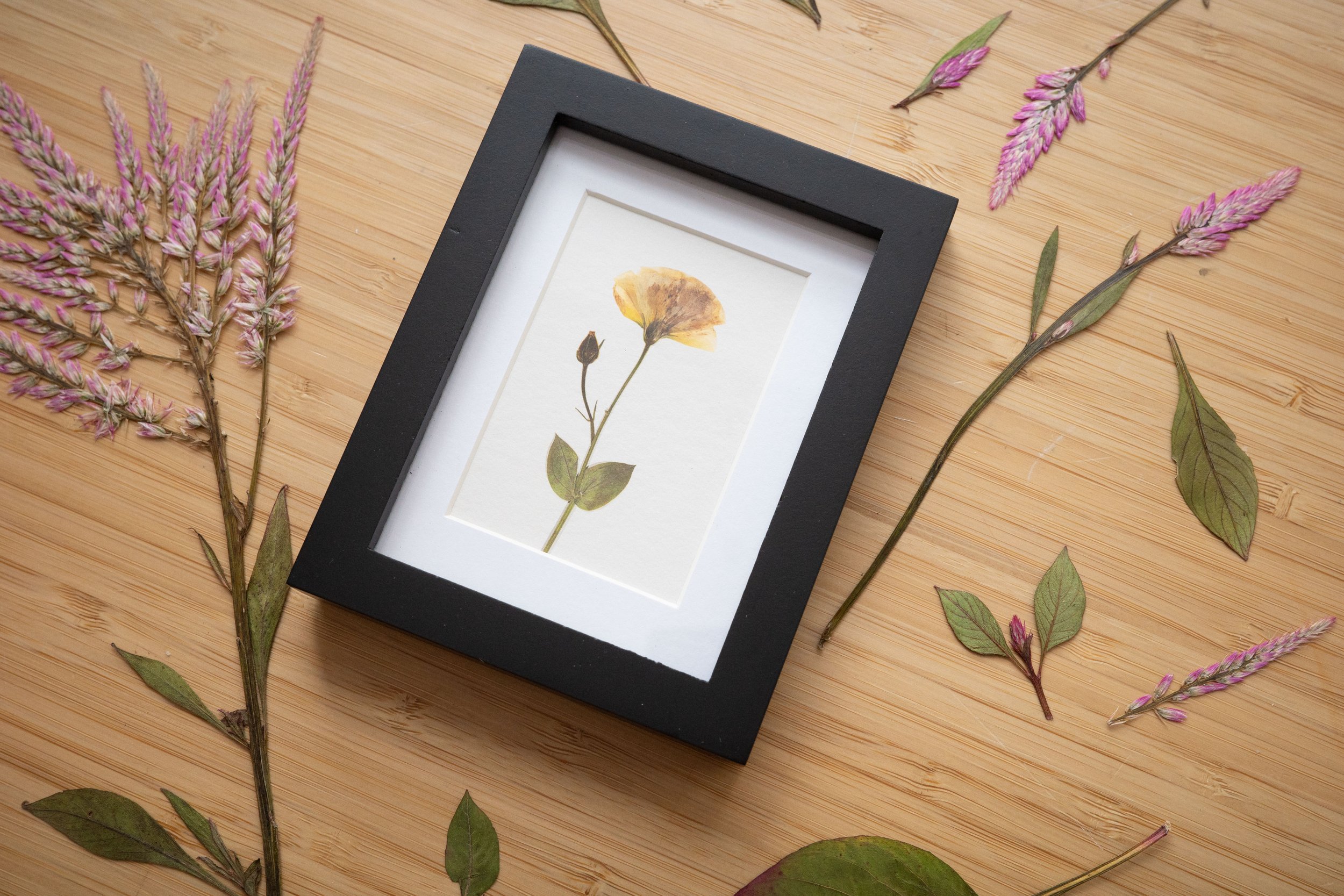 Black Yellow Rose Mini.jpg