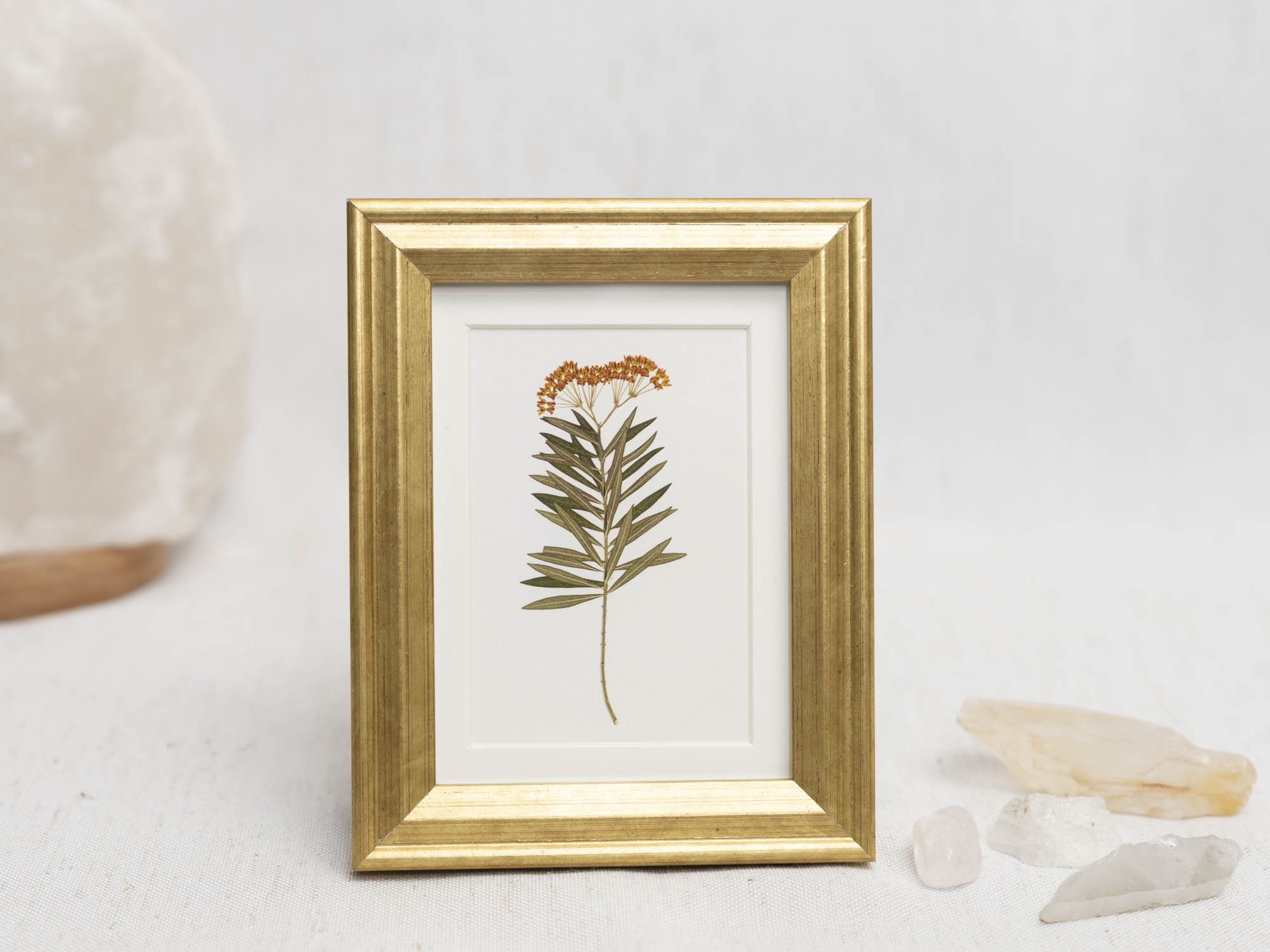 Milkweed Moment Stones.jpg