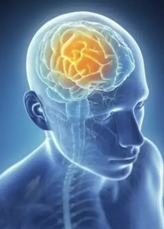 craniosacral therapy vs. cranial osteopathy / graham kennedy