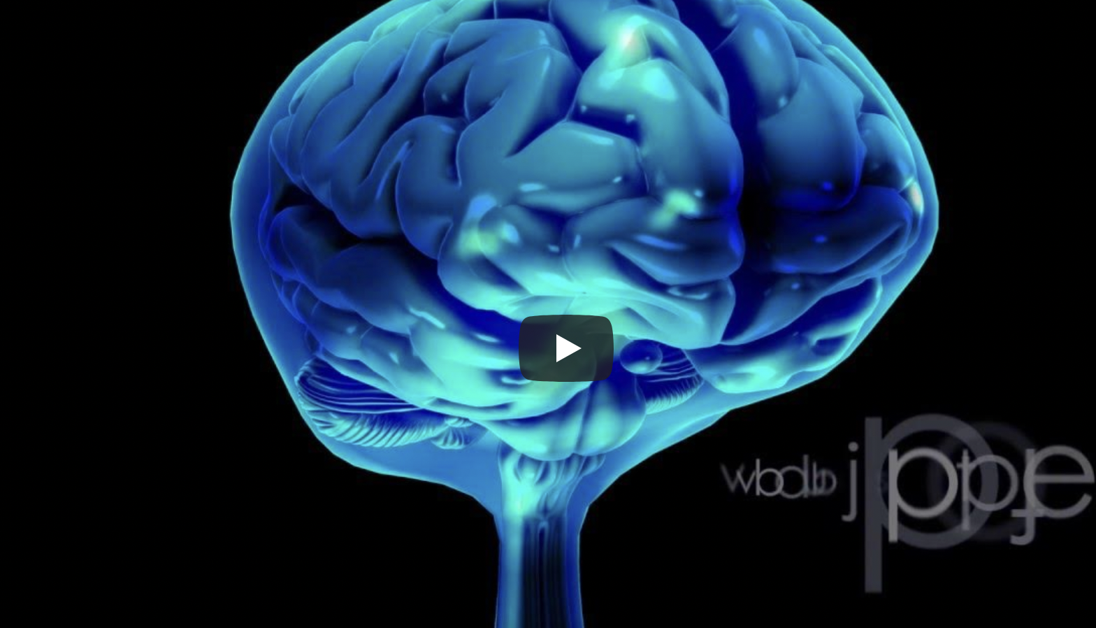 neuroanatomy: the cerebrospinal fluid (CSF)