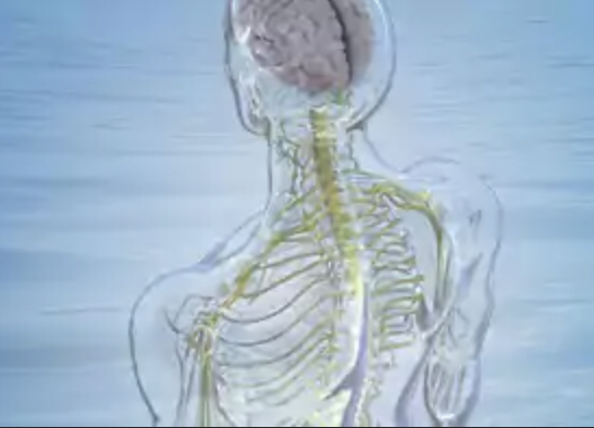 the biodynamic approach to healing / margaret rosenau