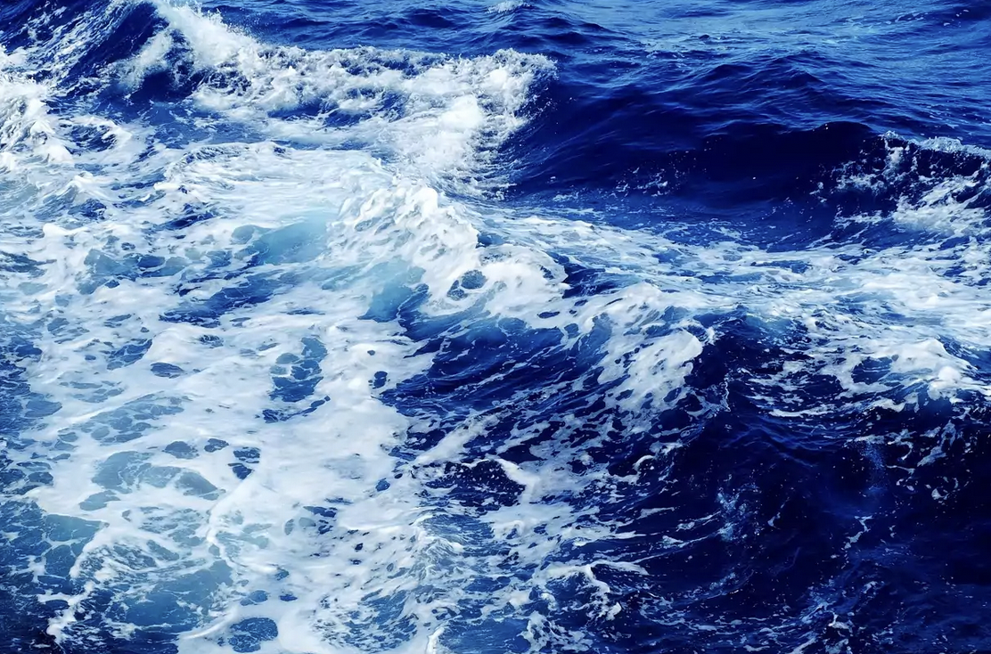 fluid knows the tide / Margaret Rosenau