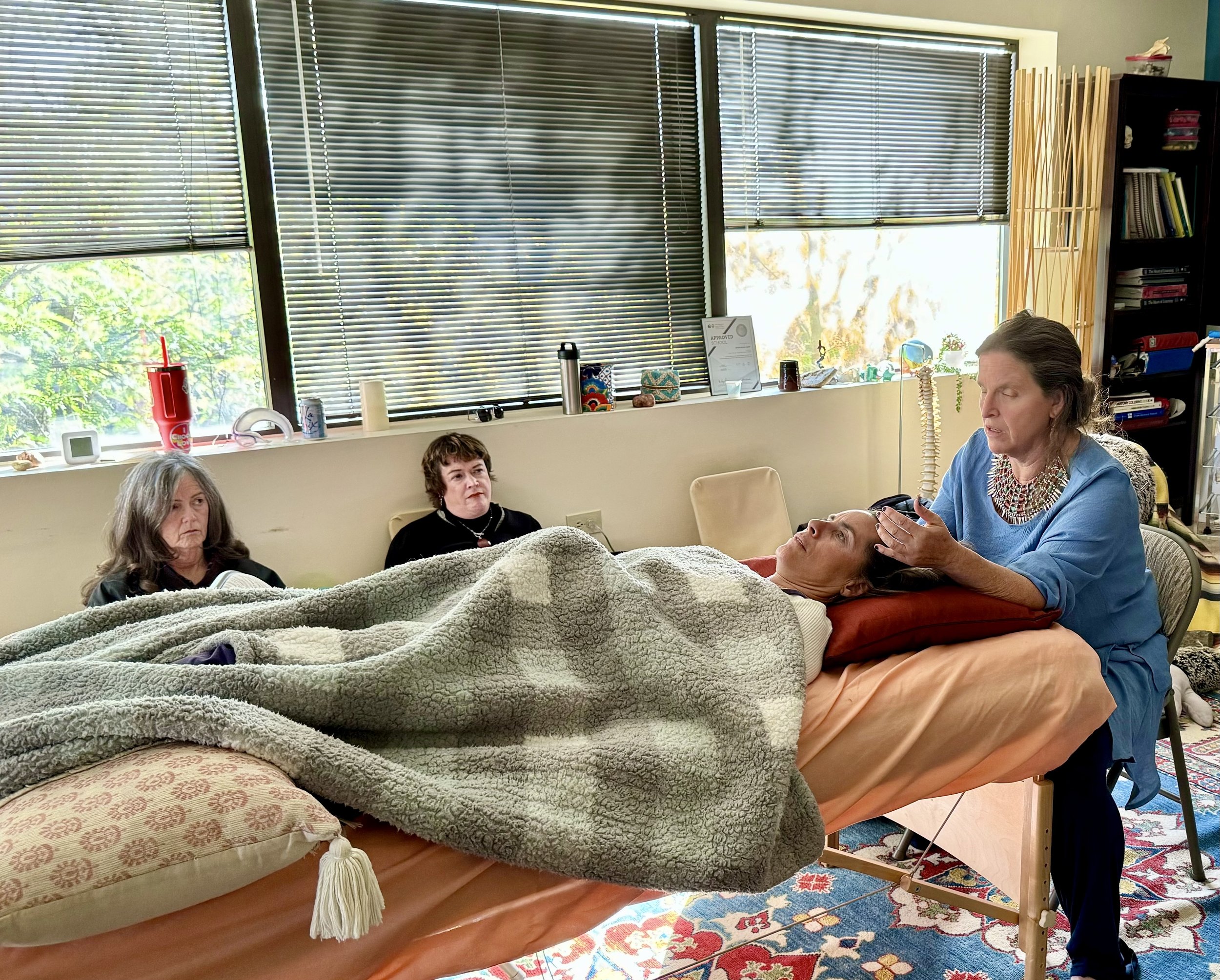 come take our introduction to biodynamic craniosacral therapy class! / Margaret Rosenau