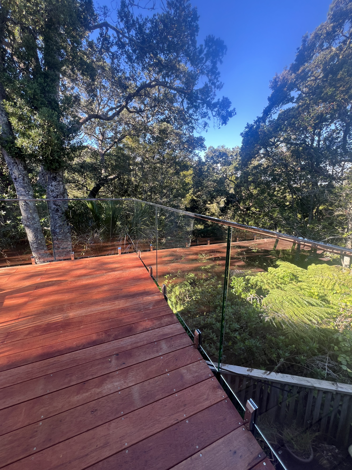 A wooden balcony with glass railing overlooks a lush forest with tall trees and green foliage under a clear blue sky.