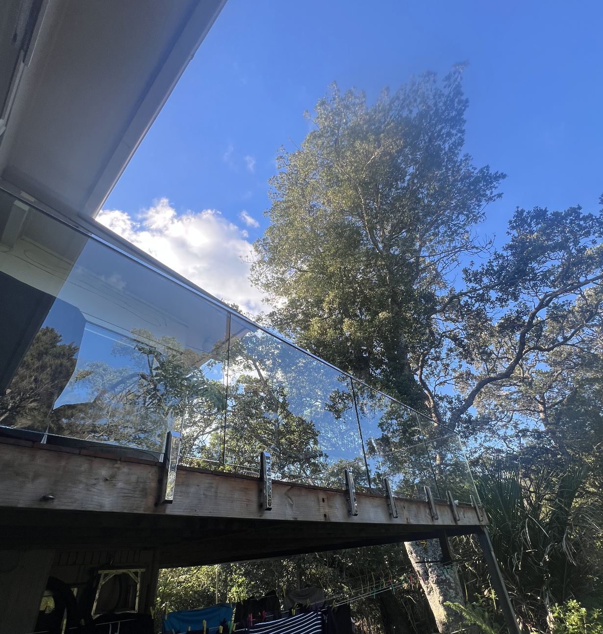 View of a balcony with a glass railing, large trees with green leaves, a bright blue sky with some clouds, and the reflection of trees on the glass.