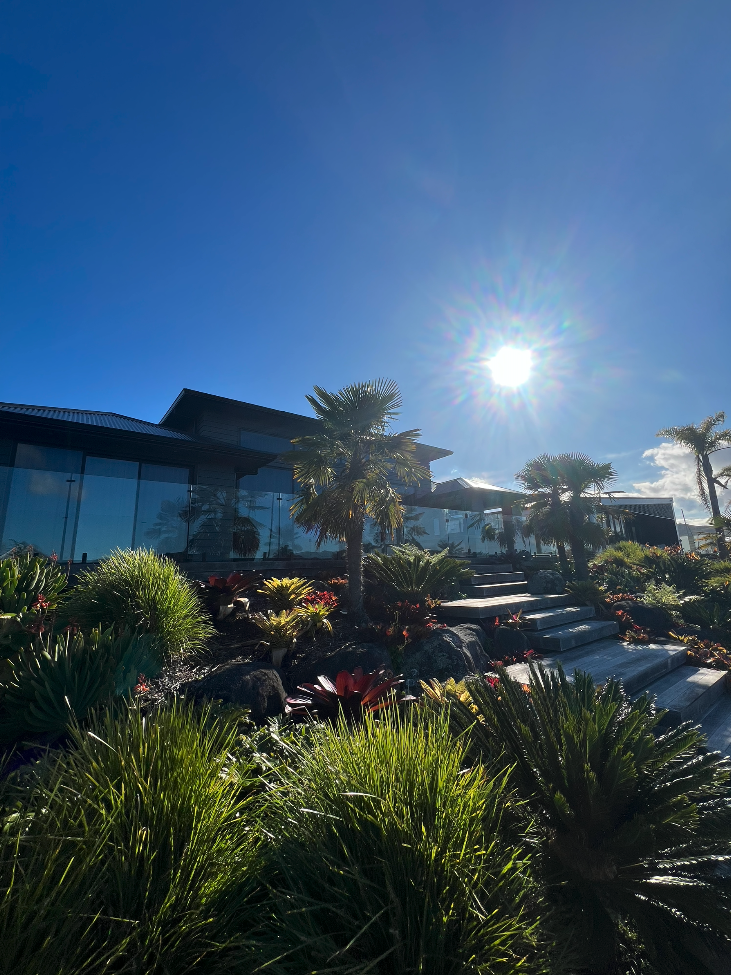 Screenshot 2025-07-26 at 10.27.14 AM.png