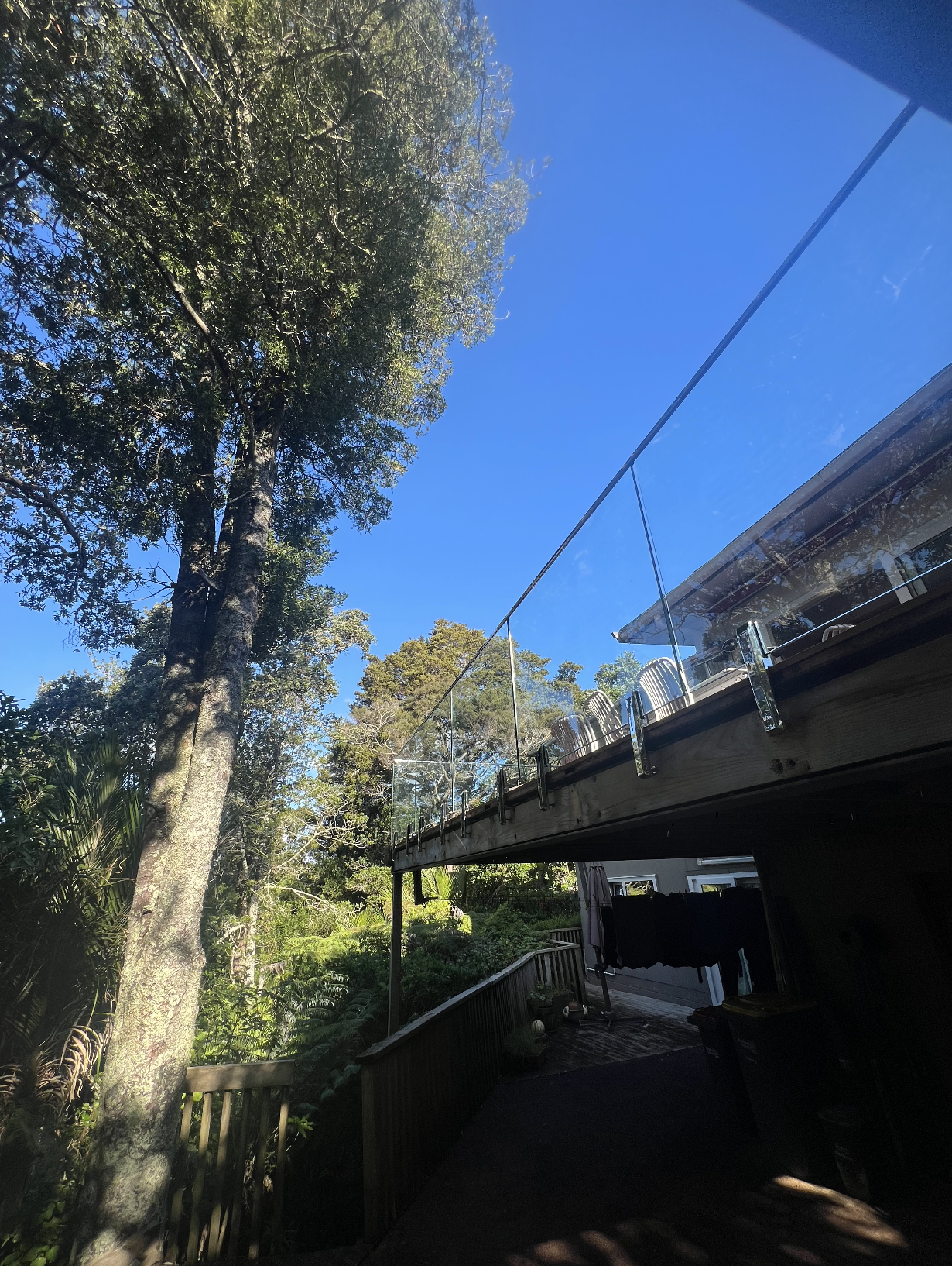 Backyard view with large trees, a wooden deck with chairs and a glass railing, and a clear blue sky.