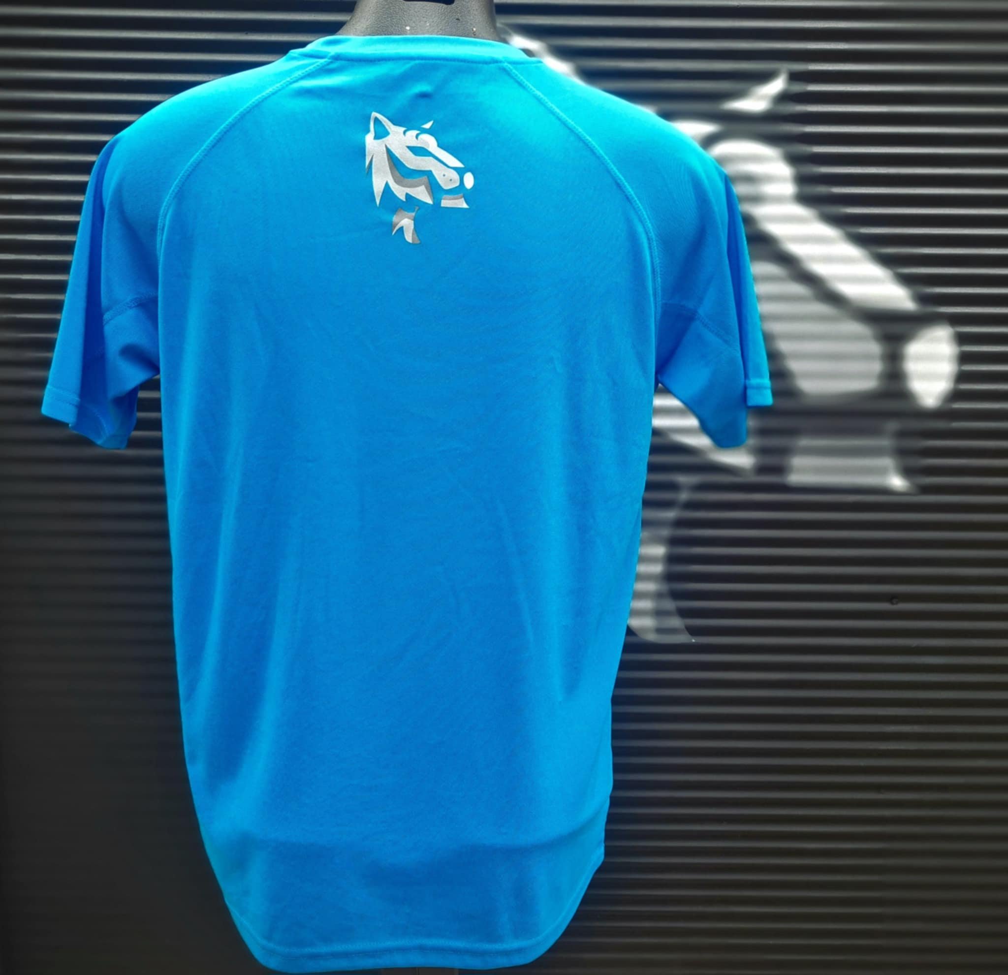 Blue back.jpg