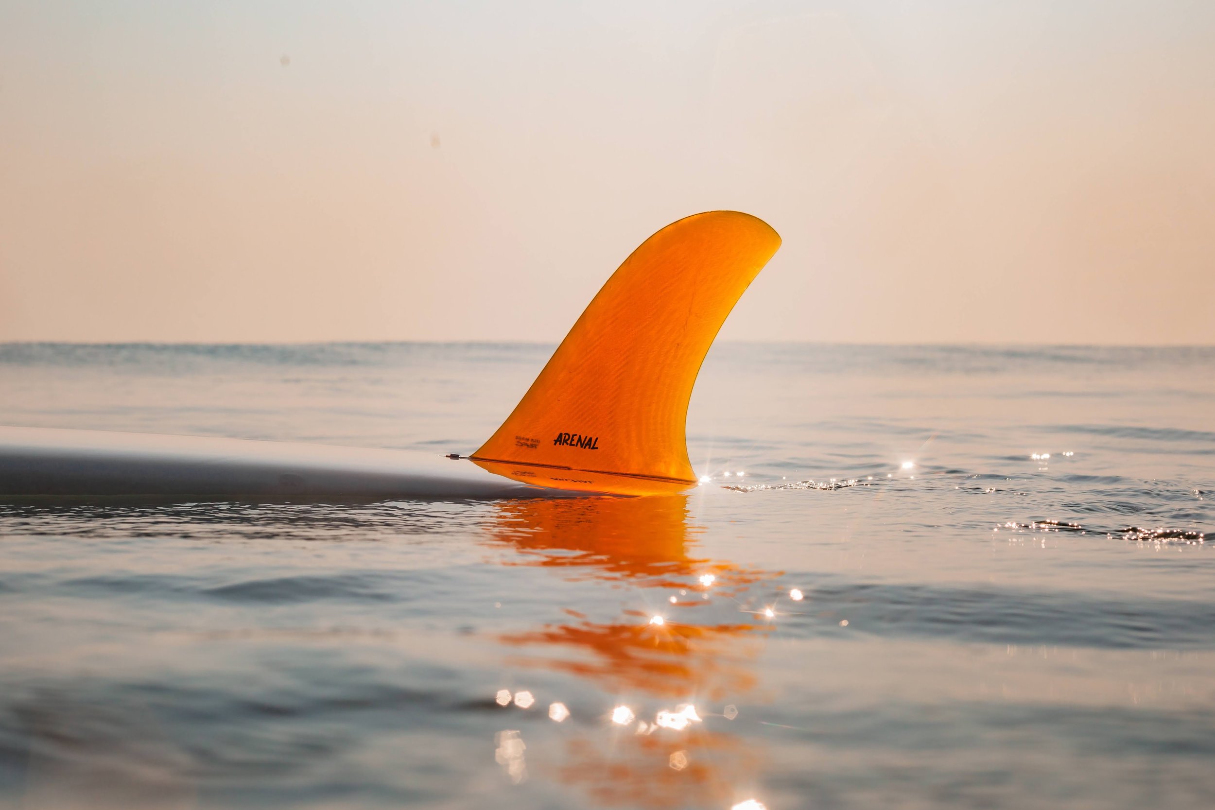 Single-Fin.jpg