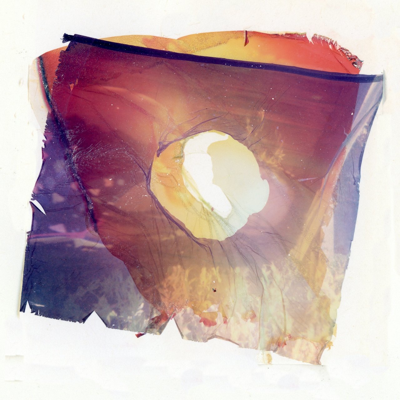 Navigating Grief: An Affirmative Approach to Loss and Healing